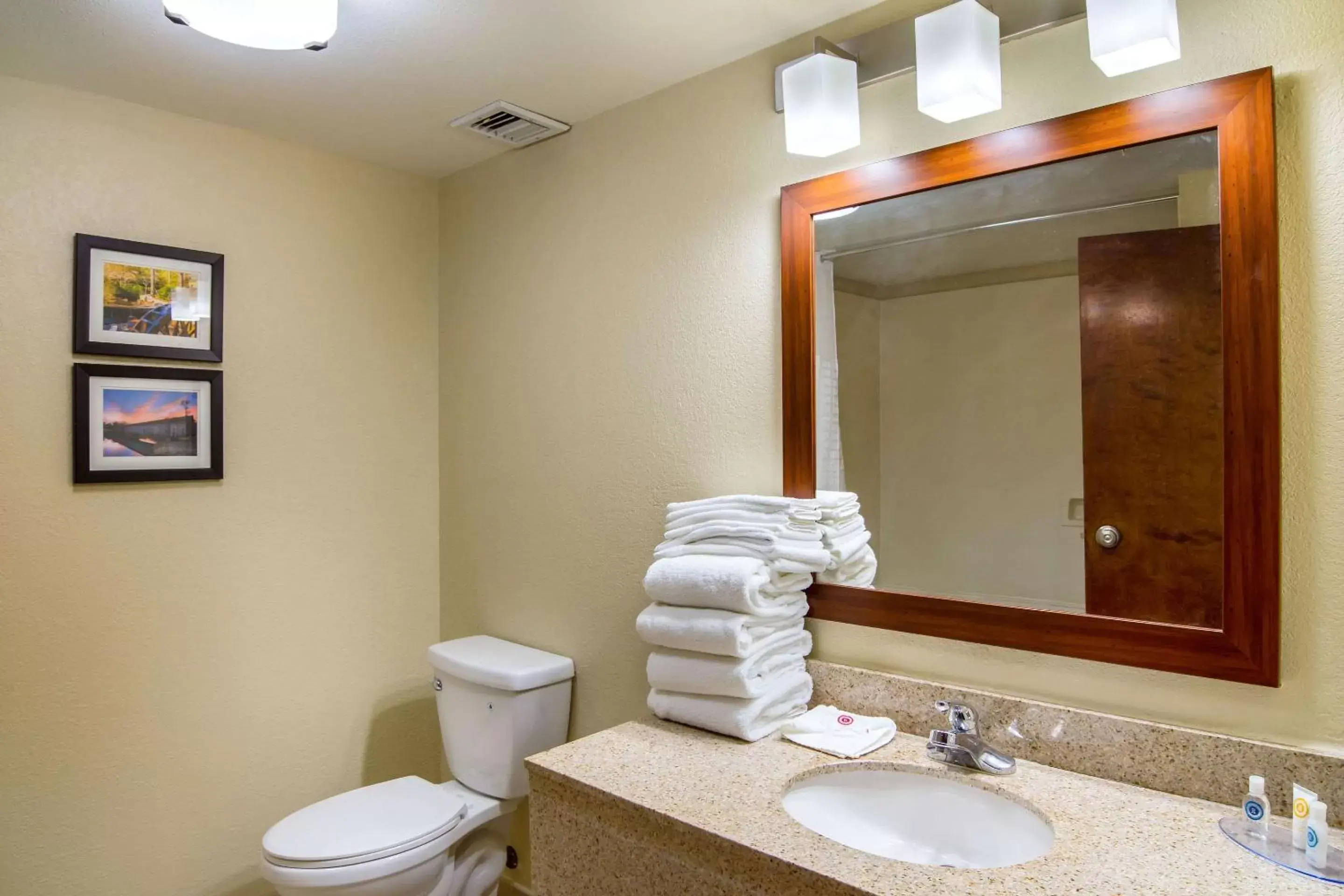 Bathroom in Comfort Inn Acworth - Kennesaw Northwest