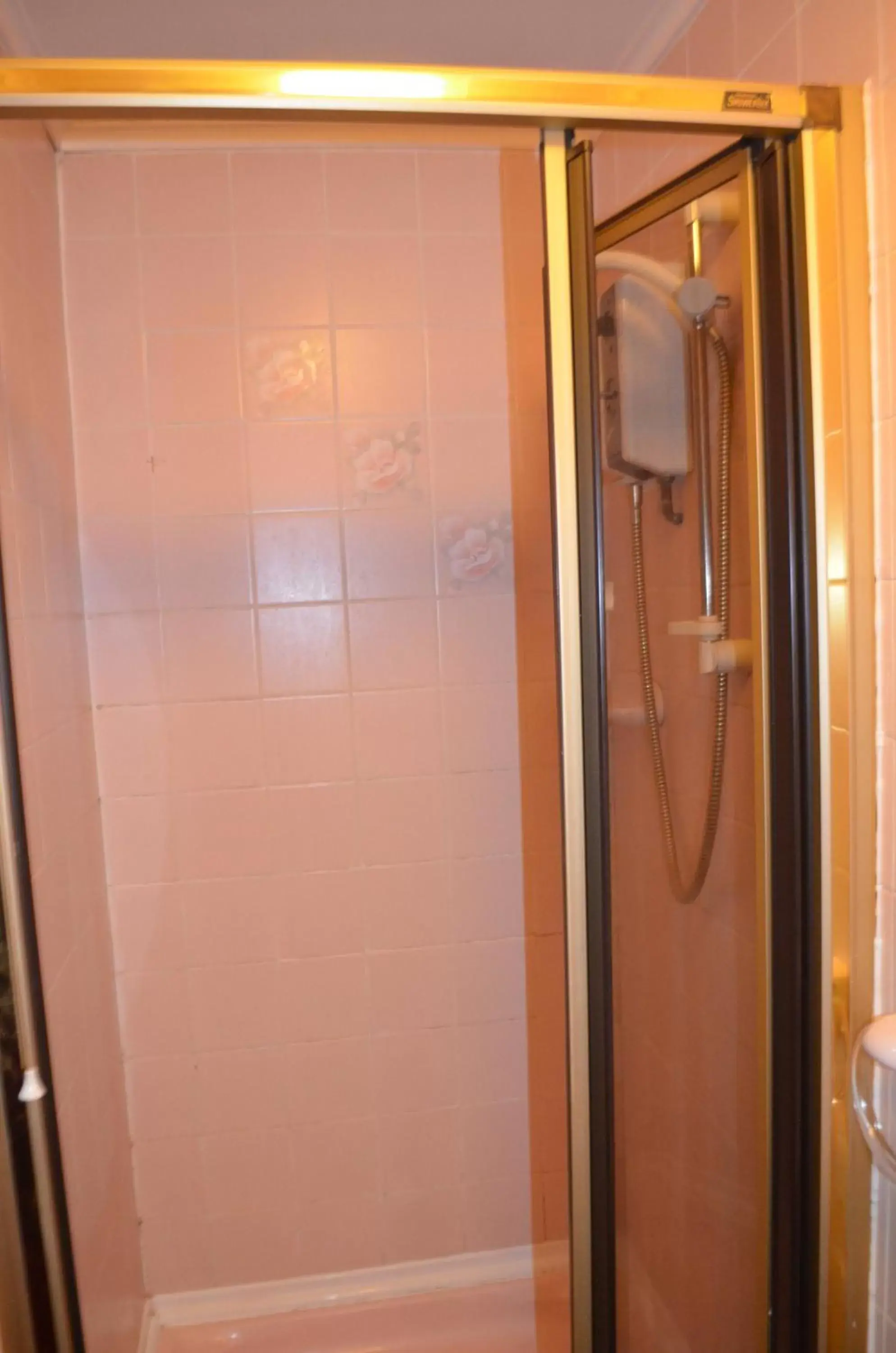 Shower, Bathroom in Lyndhurst Hotel