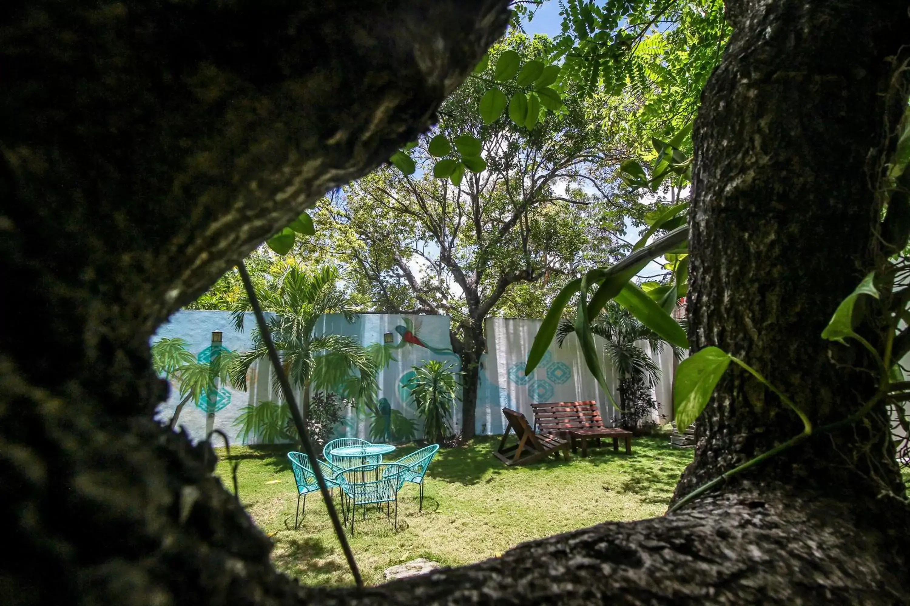 Garden view in Corazon De Jade