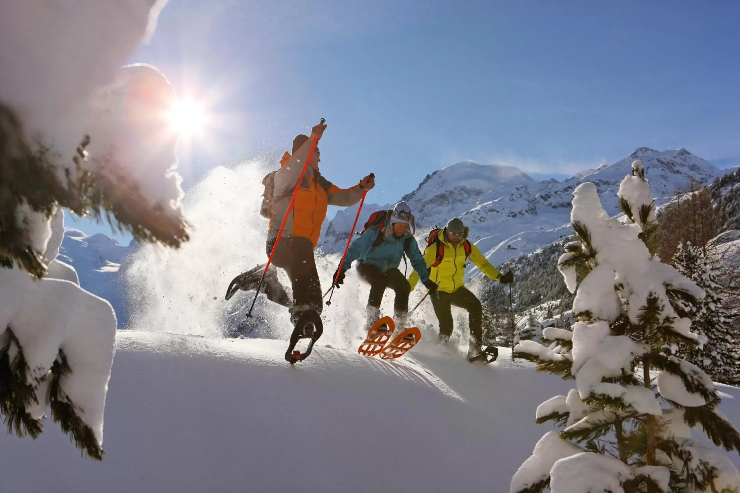 Skiing, Winter in Hotel Palü