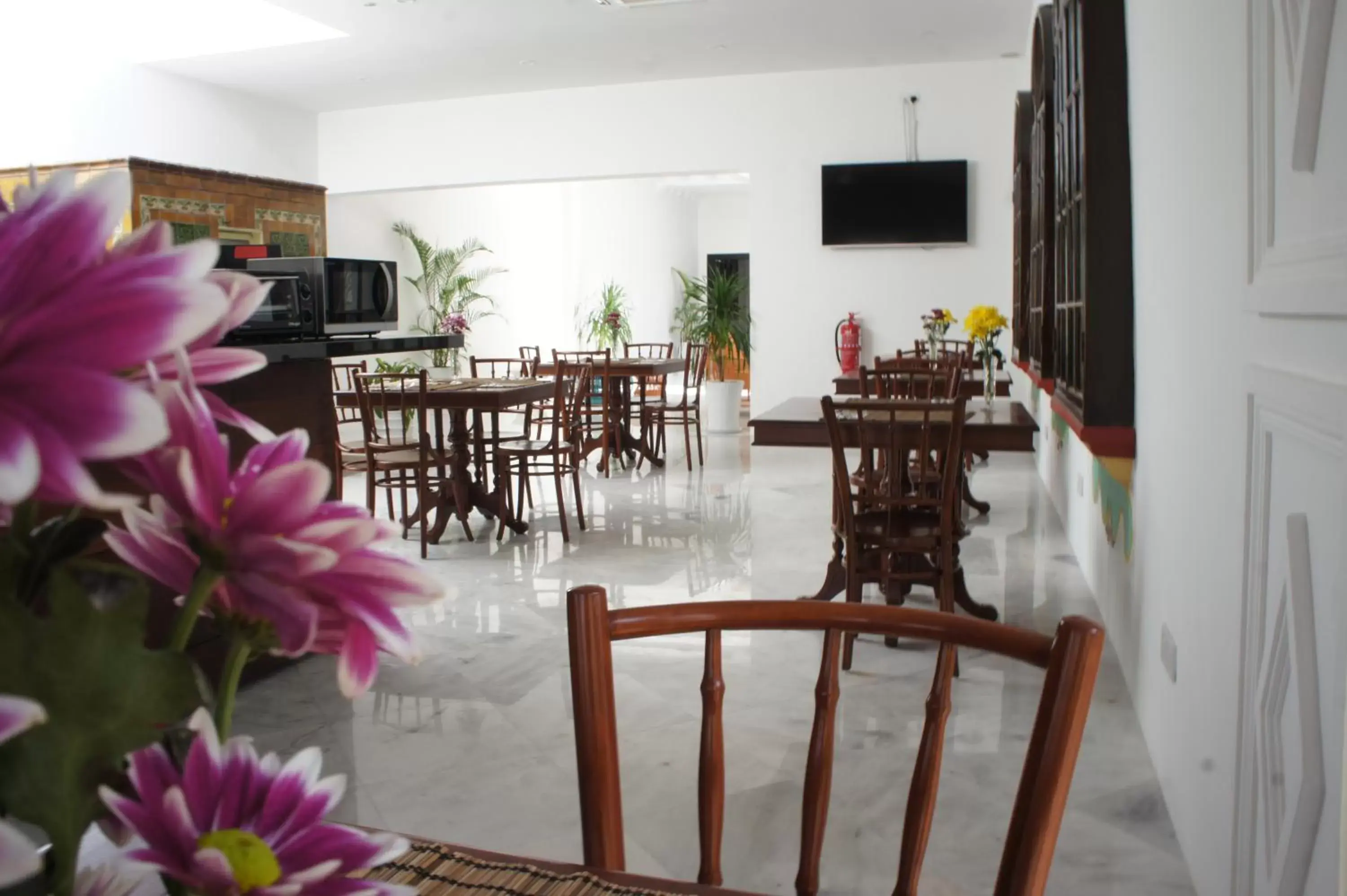 Breakfast, Restaurant/Places to Eat in Heeren Palm Suites