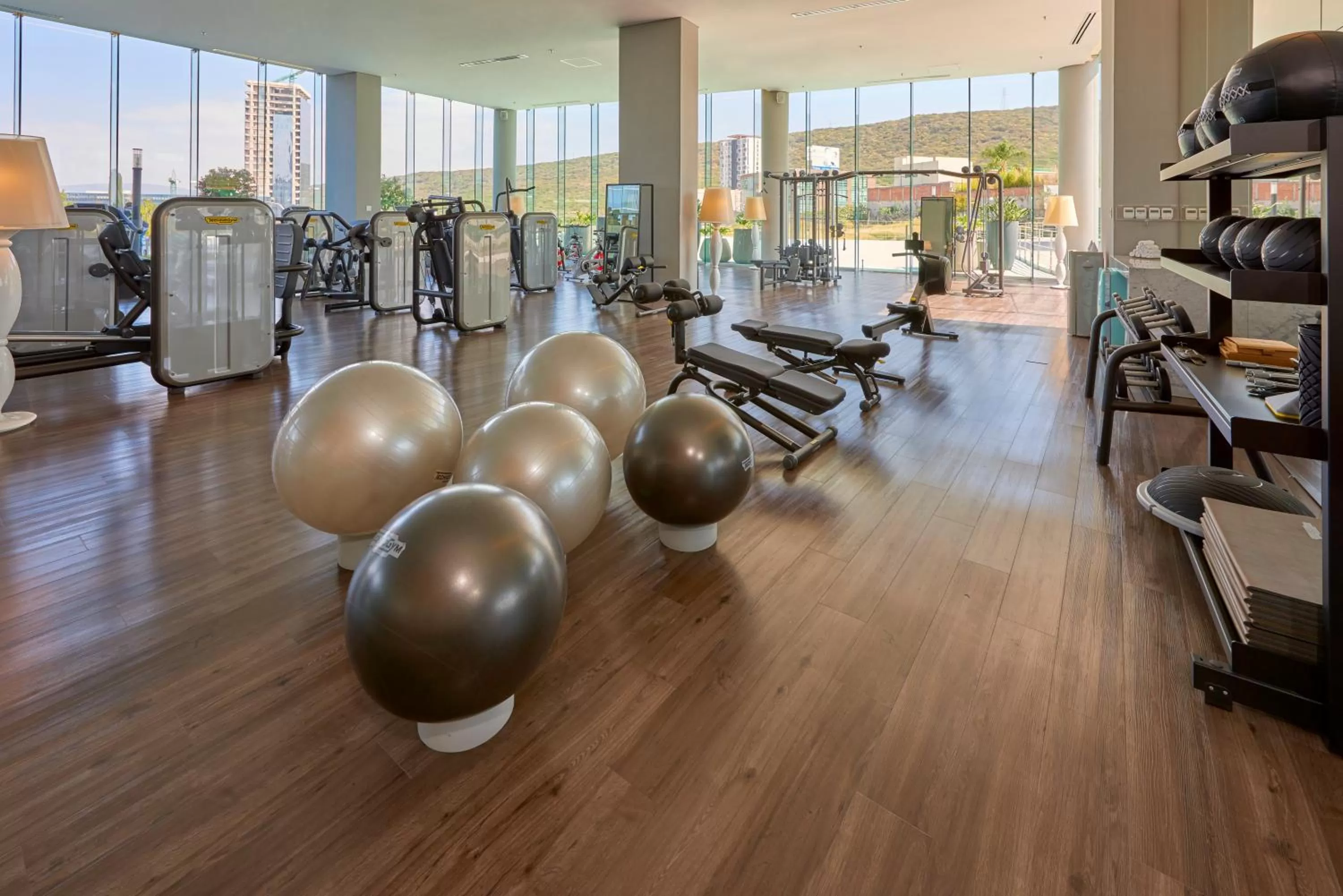 Fitness centre/facilities in Park Life Querétaro