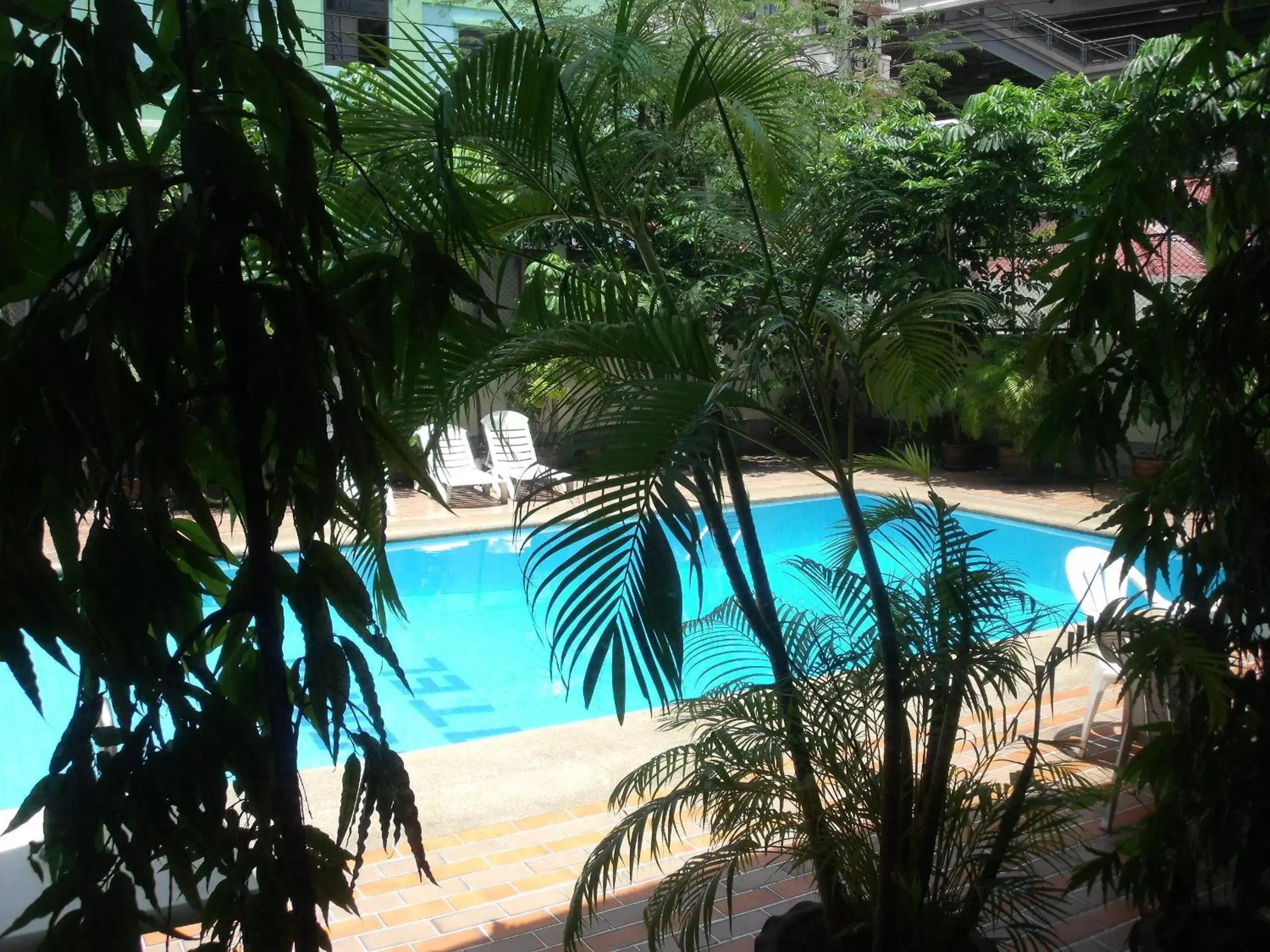 Swimming pool, Pool View in Florida Hotel