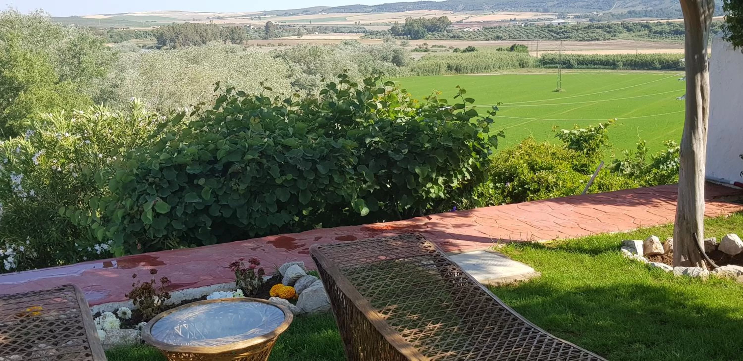 Garden in Hacienda El Santiscal Adults Only