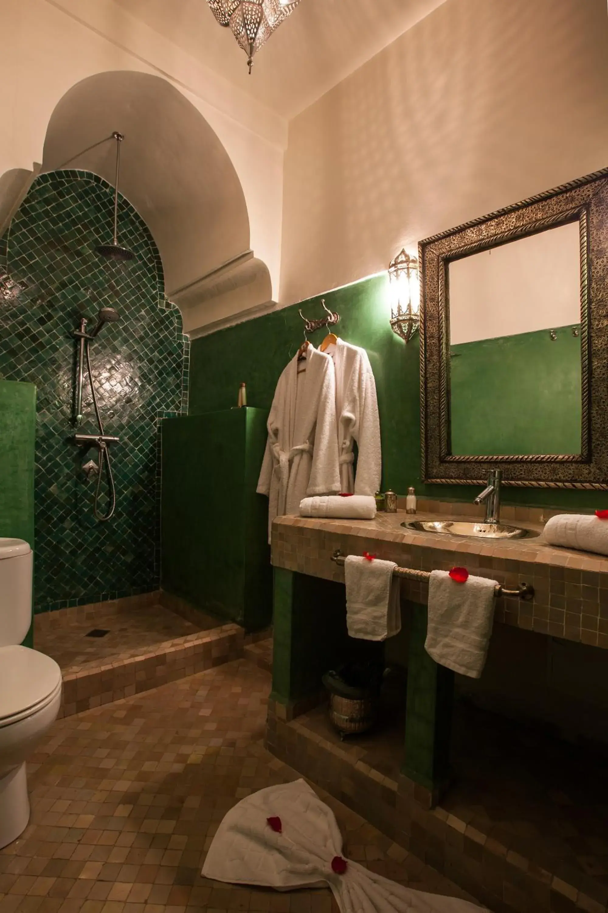 Toilet, Bathroom in Riad Alaka