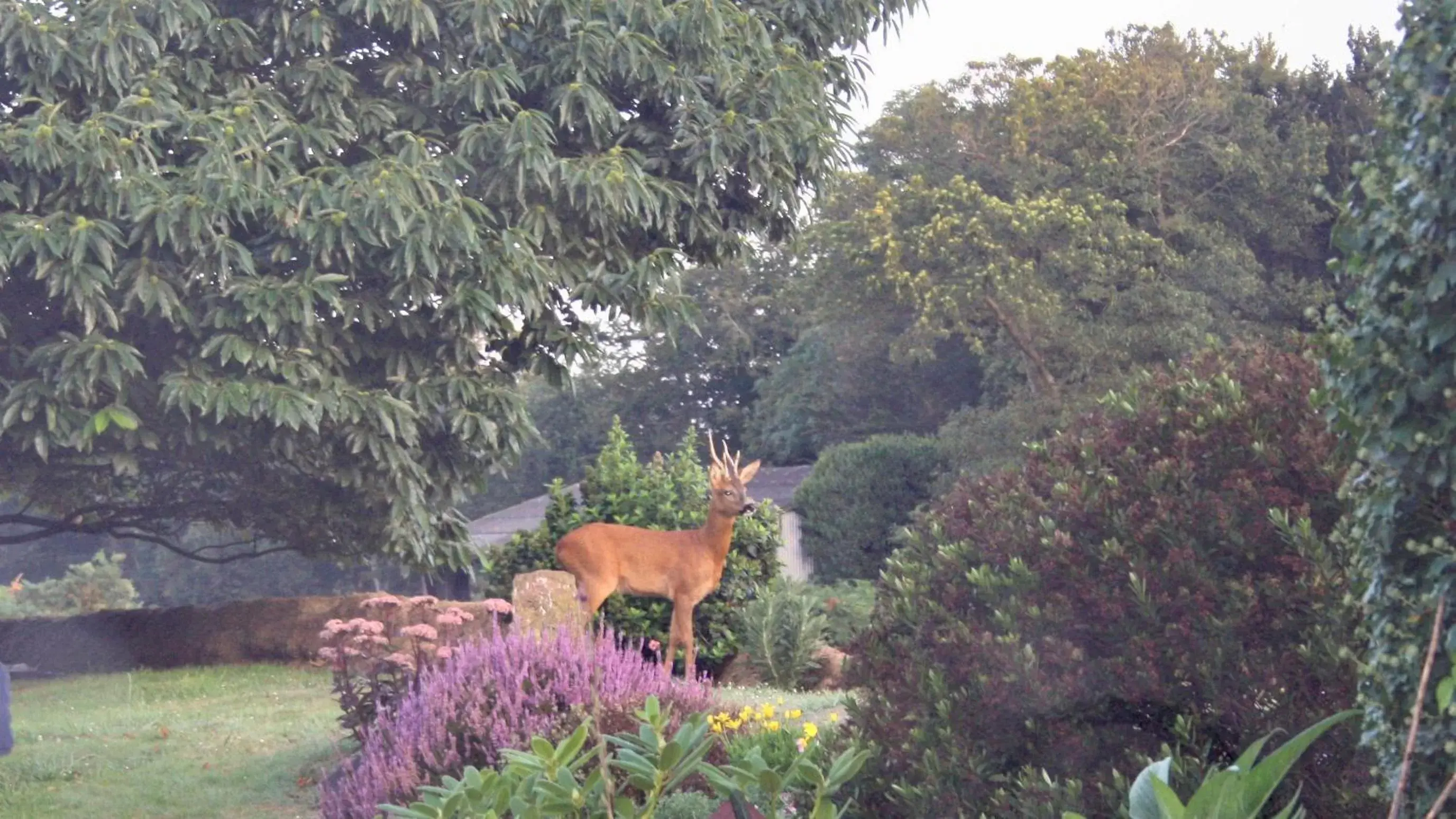 Garden in Breizh A-Gevret