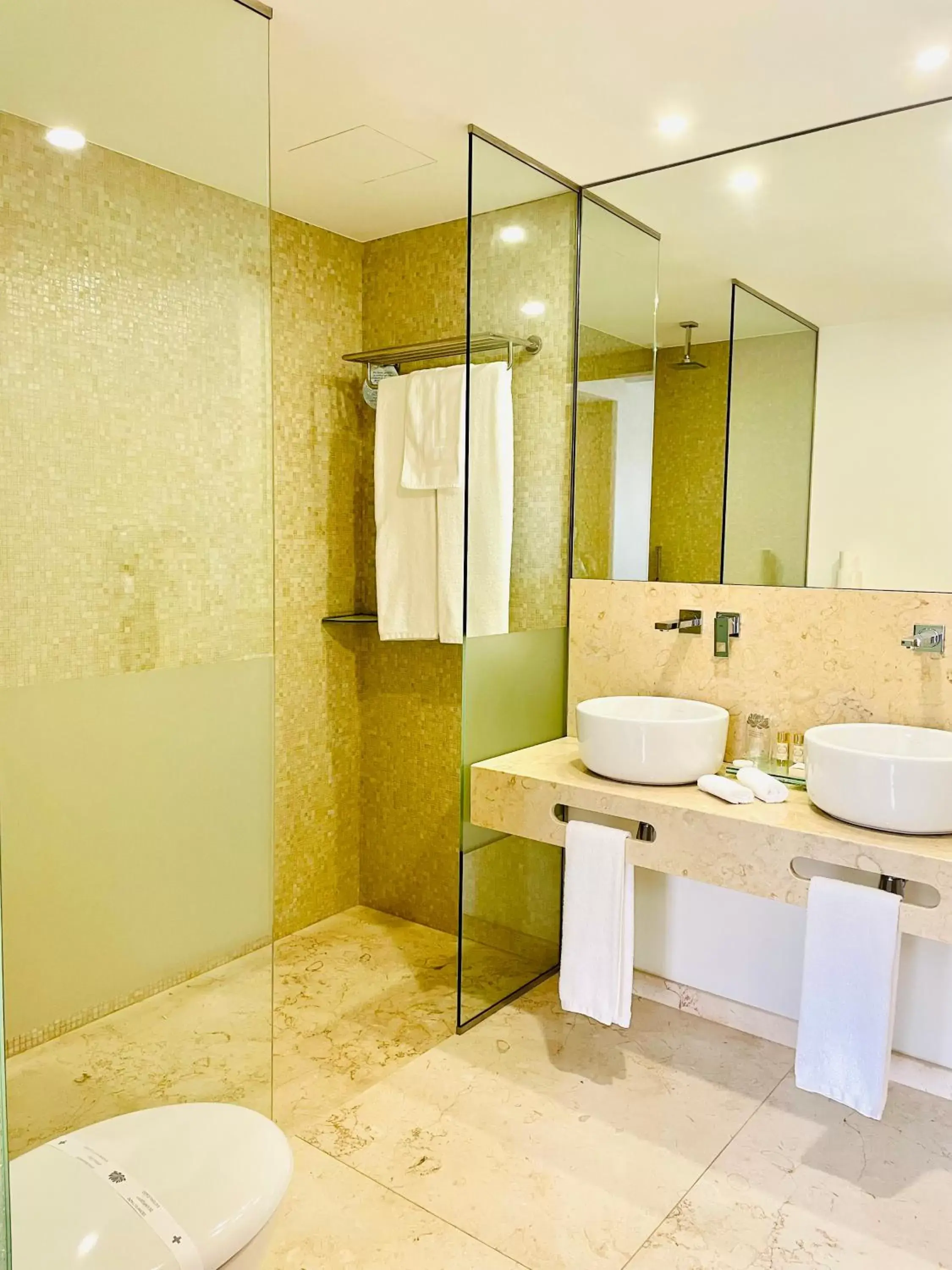 Shower, Bathroom in Castelo Hotel