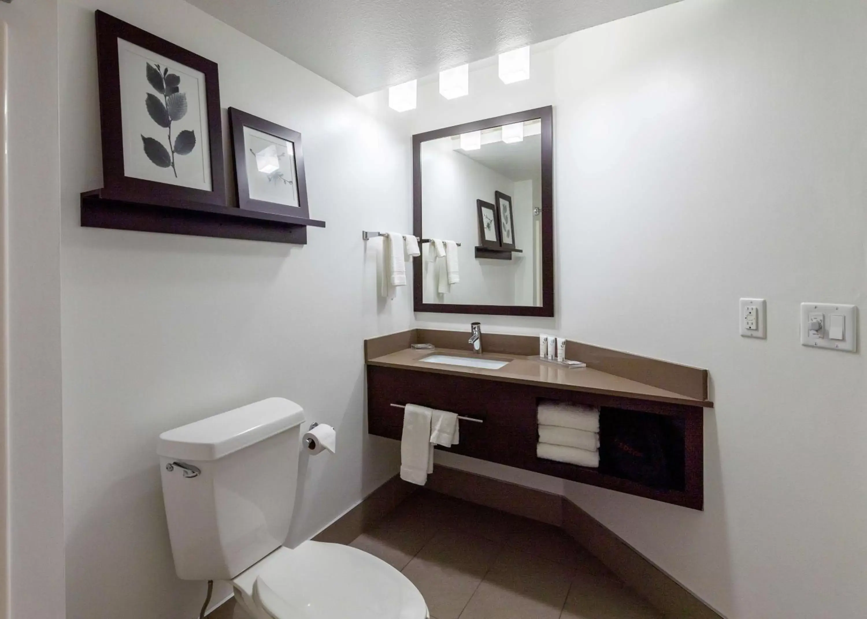 Toilet, Bathroom in Country Inn & Suites by Radisson, Appleton, WI