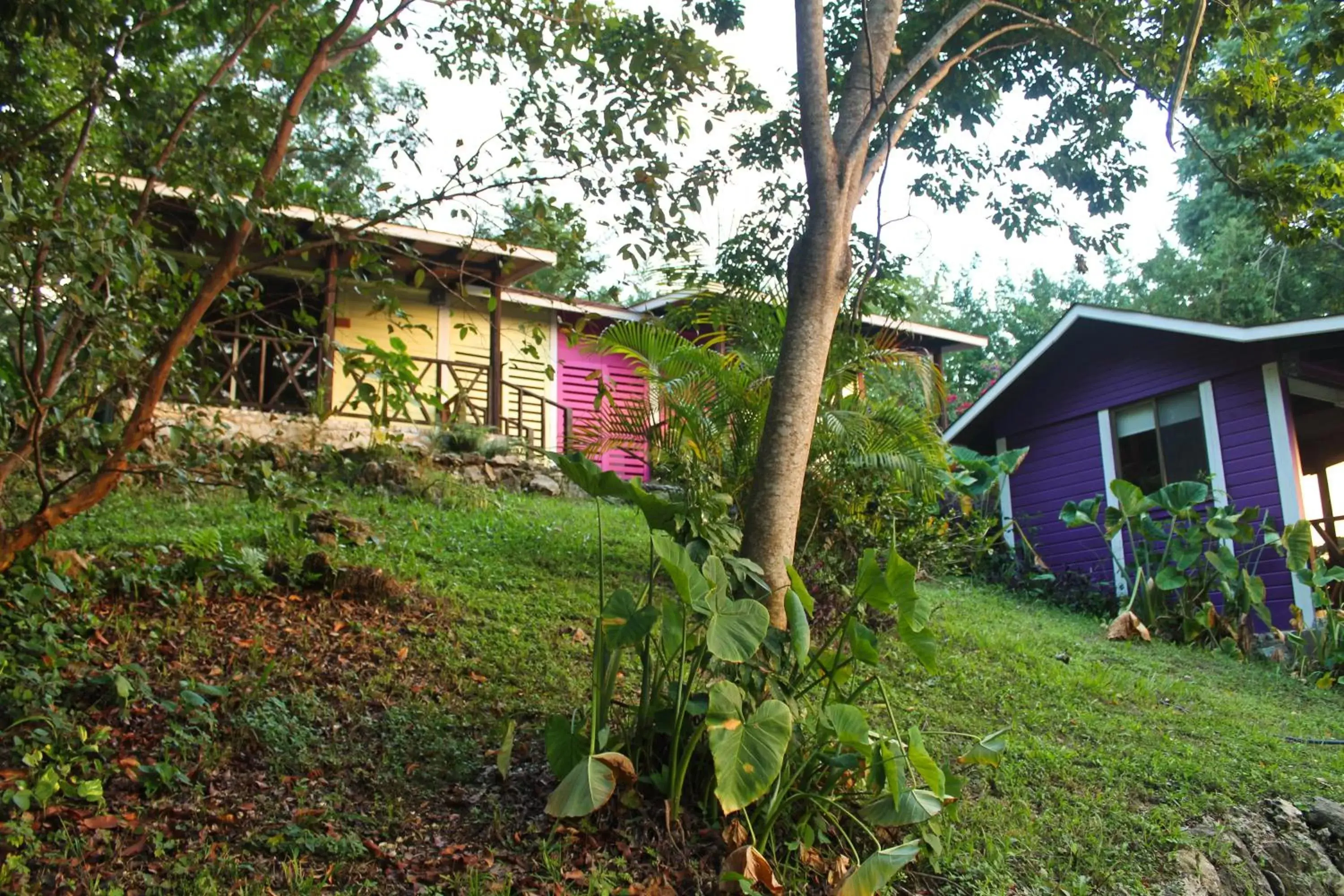 Garden, Property Building in Winíka Alterra