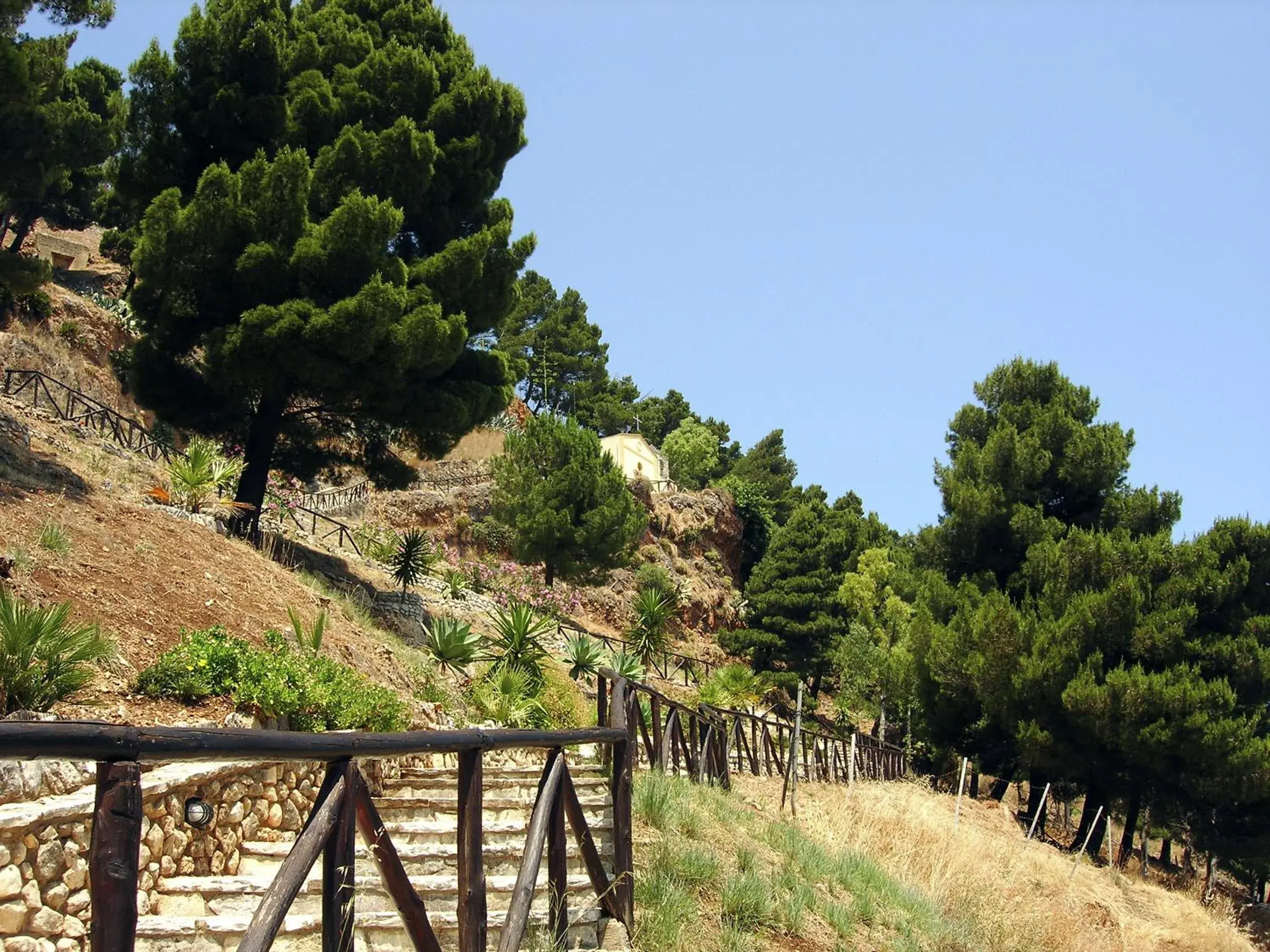 Natural landscape in Tenute Plaia Agriturismo