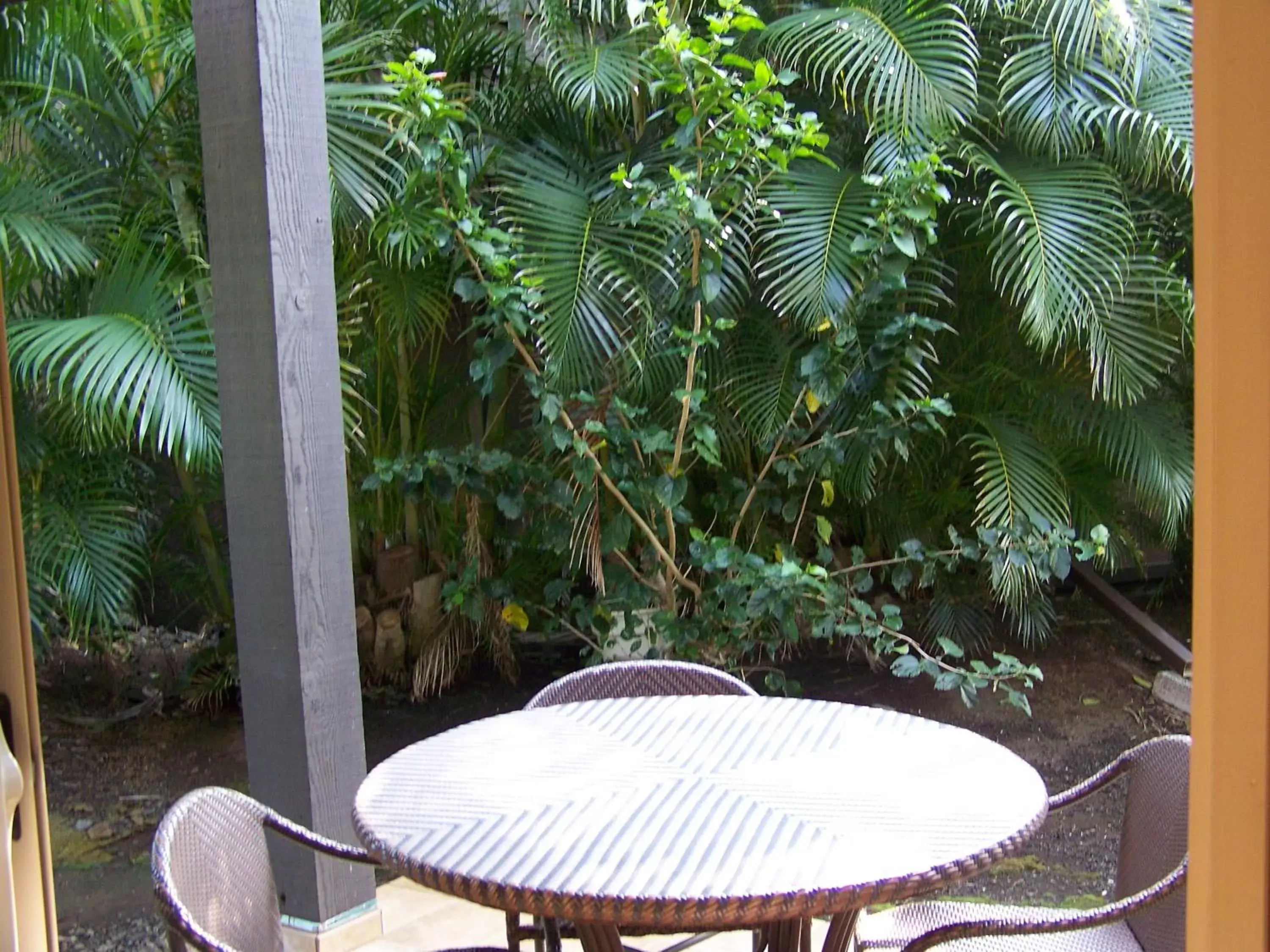 Patio in Sea Mountain