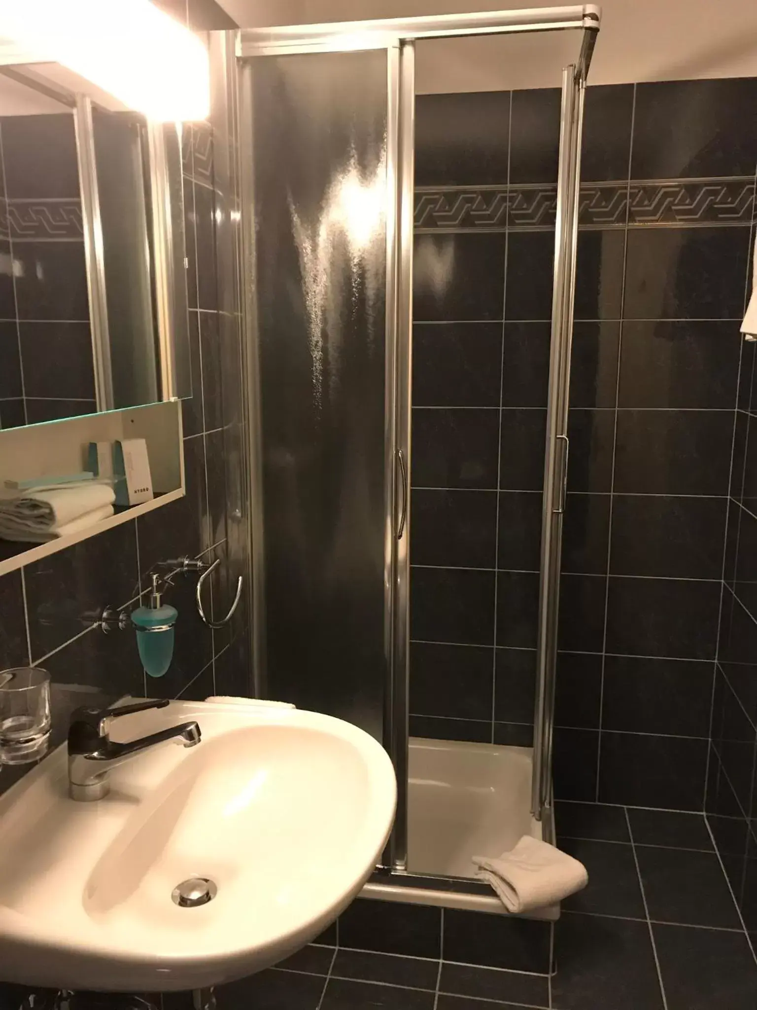 Shower, Bathroom in Hotel Garni Golf