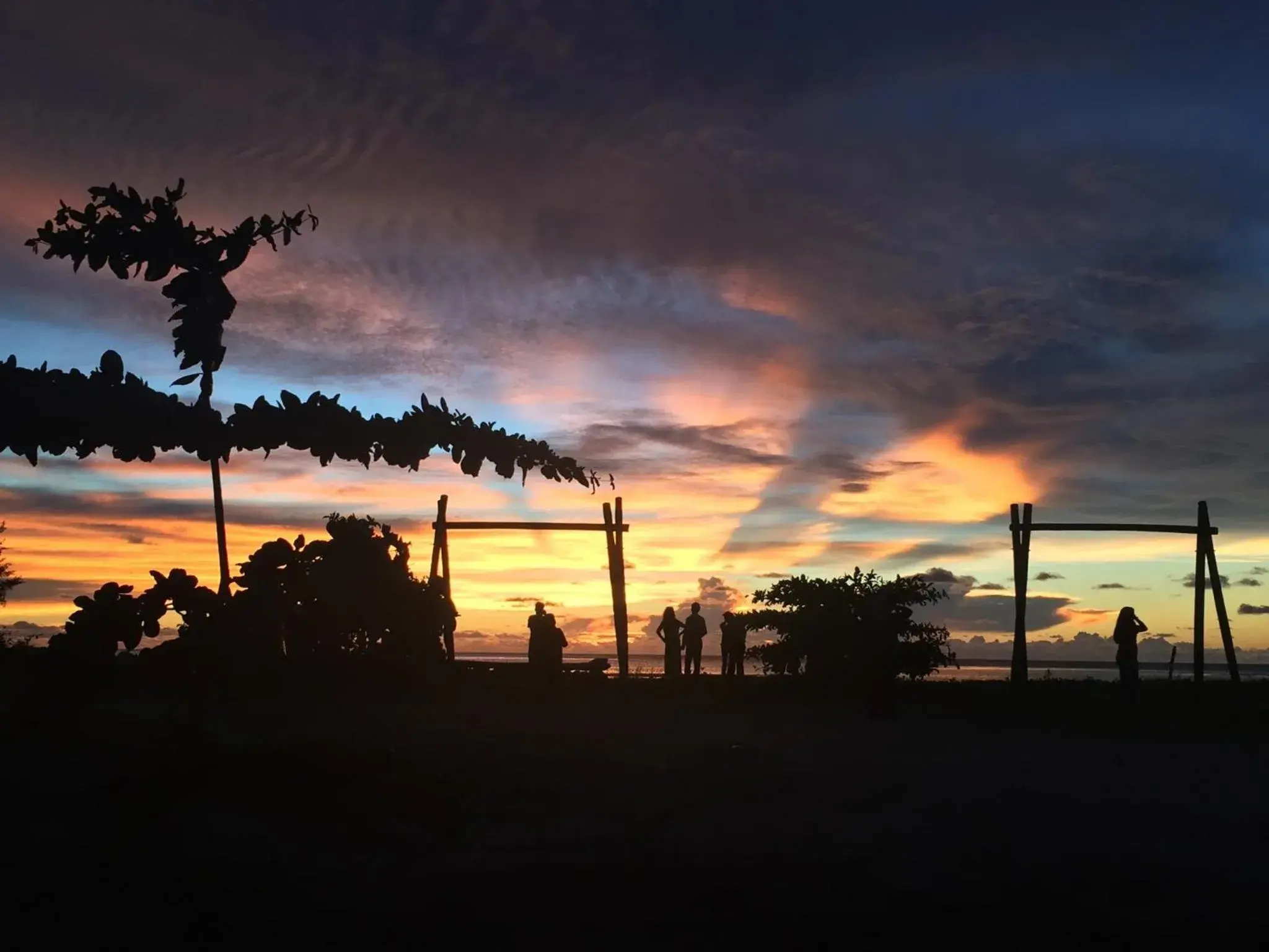 Natural landscape in Palm Beach Resort & Spa