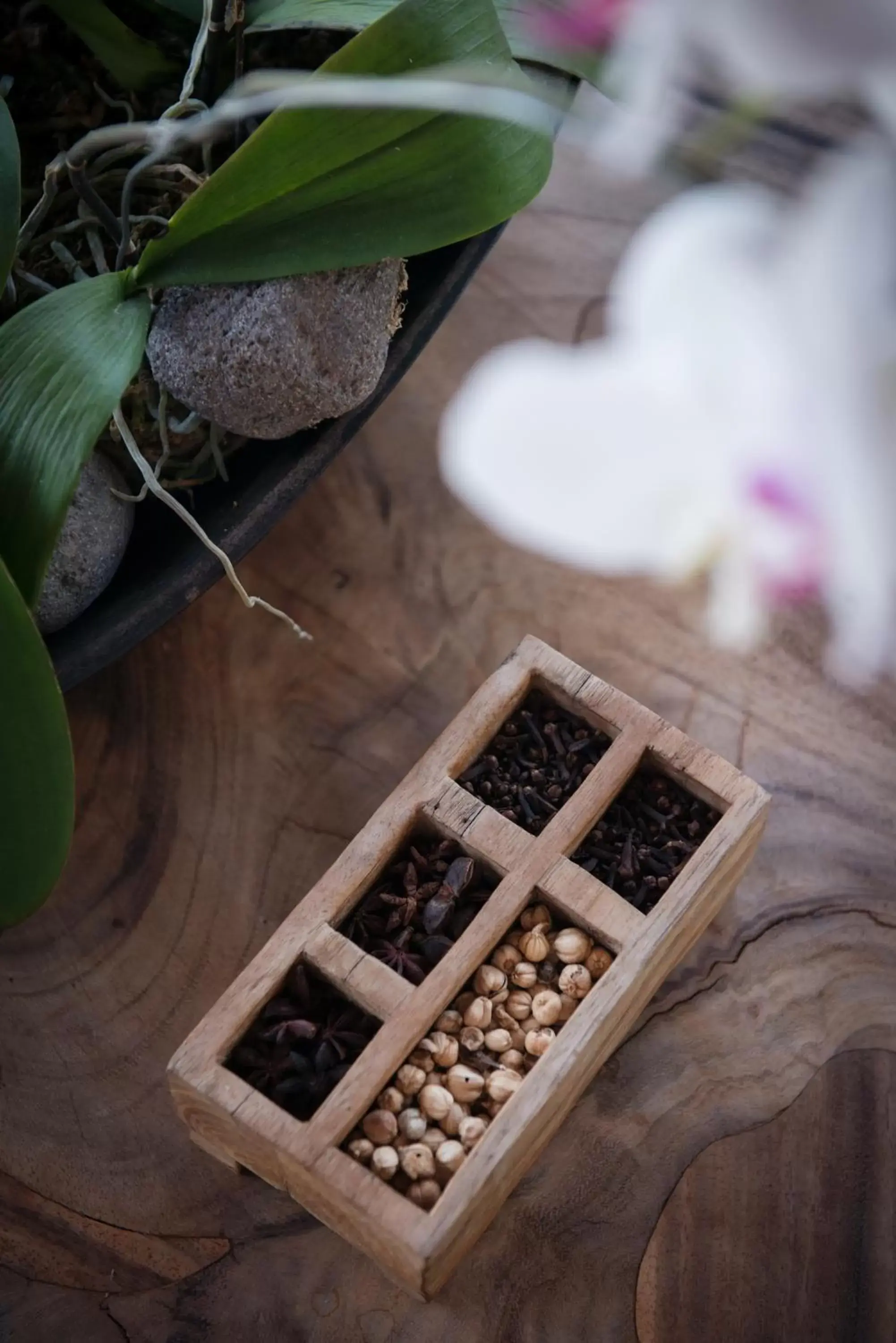 Spa and wellness centre/facilities in Komaneka at Rasa Sayang Ubud Spa and wellness centre/facilities in Komaneka at Rasa Sayang Ubud