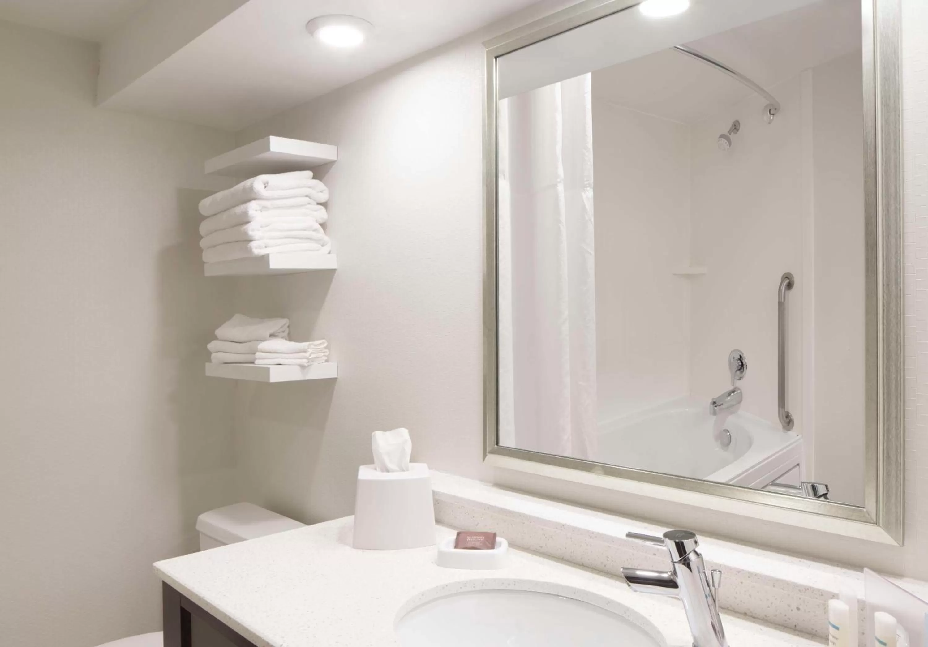 Bathroom in Hampton Inn Charleston-Southridge