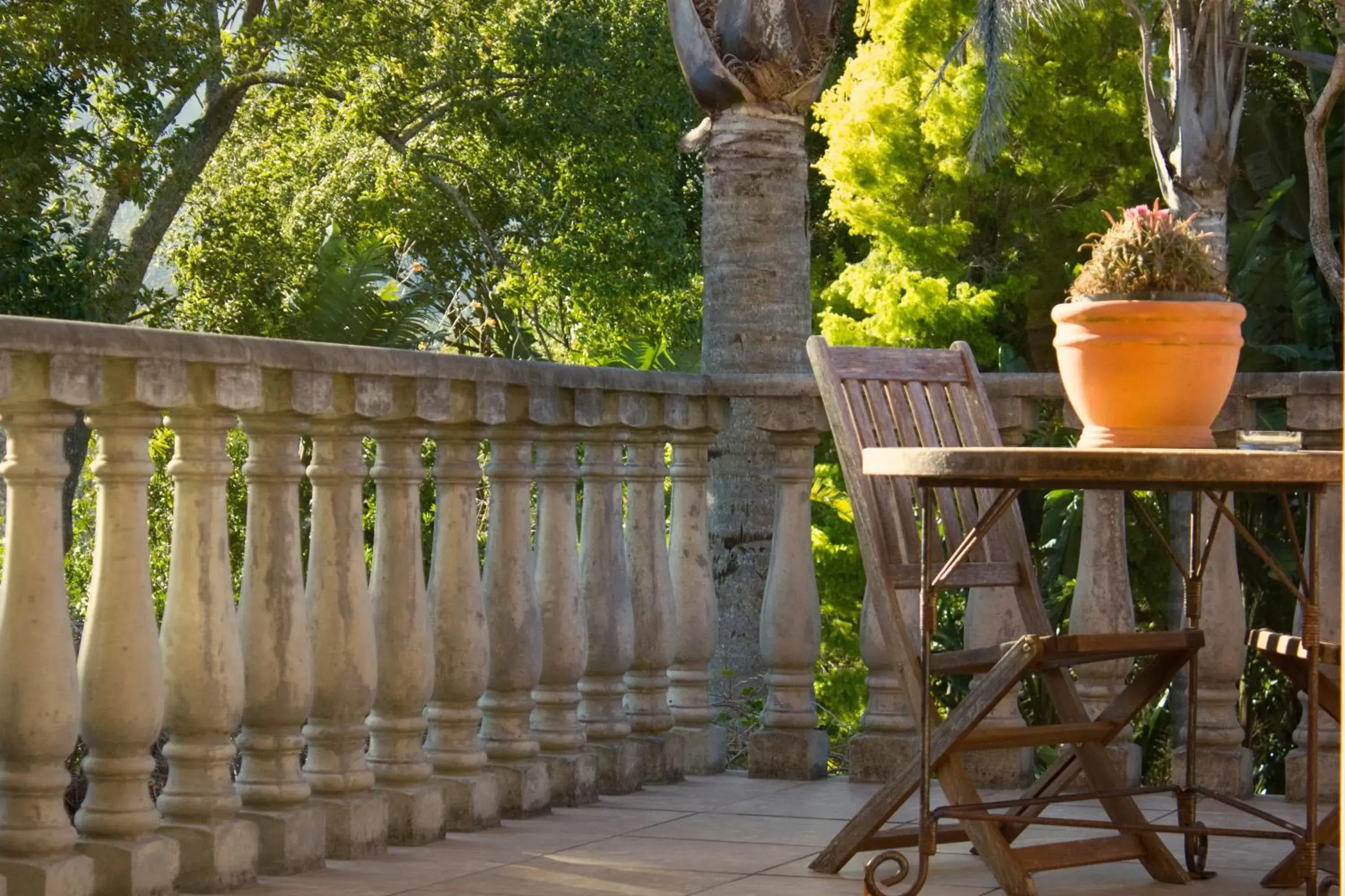 Patio in Aziza Guest House