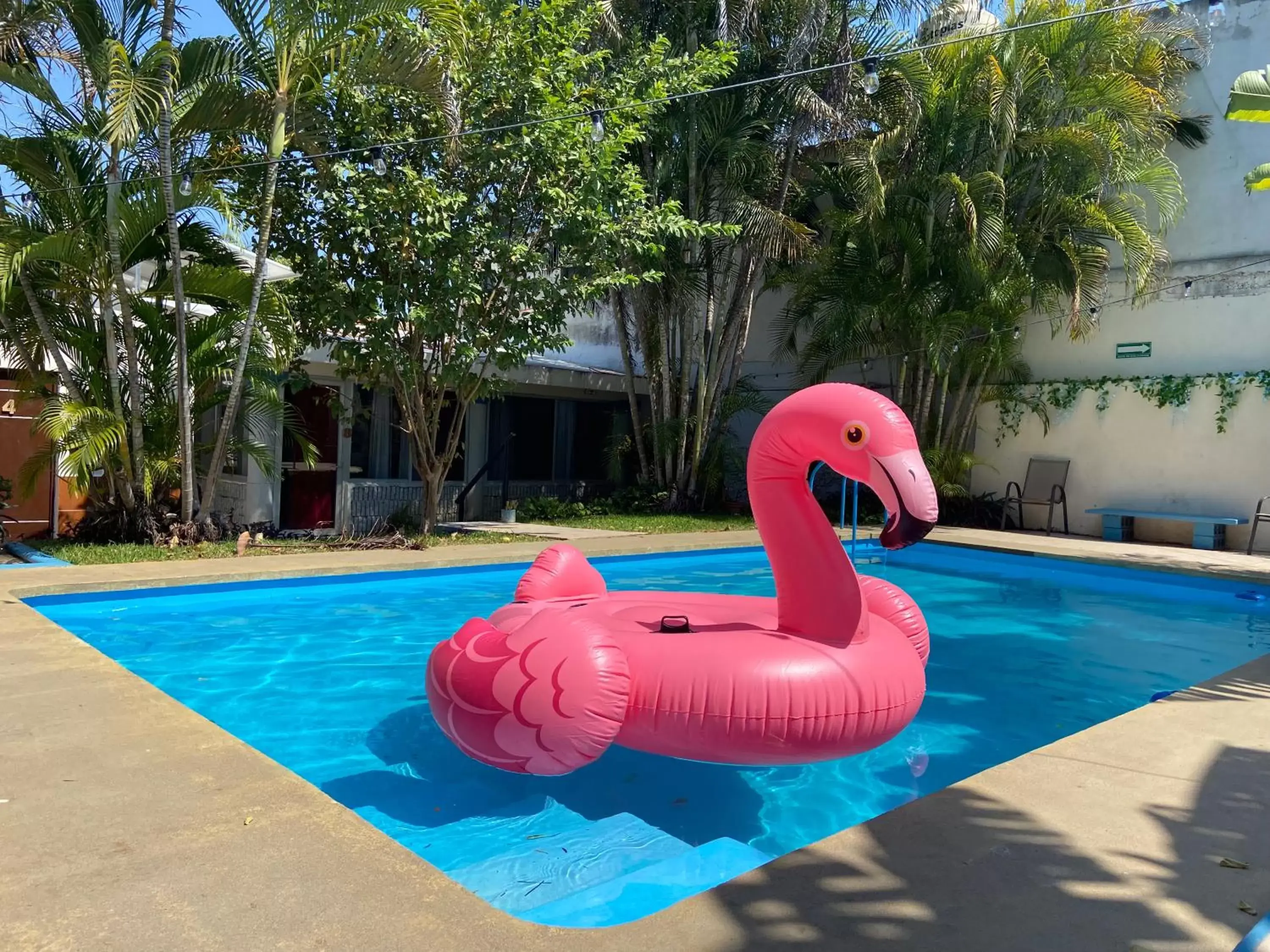 Swimming Pool in Suites del Sureste - Mérida