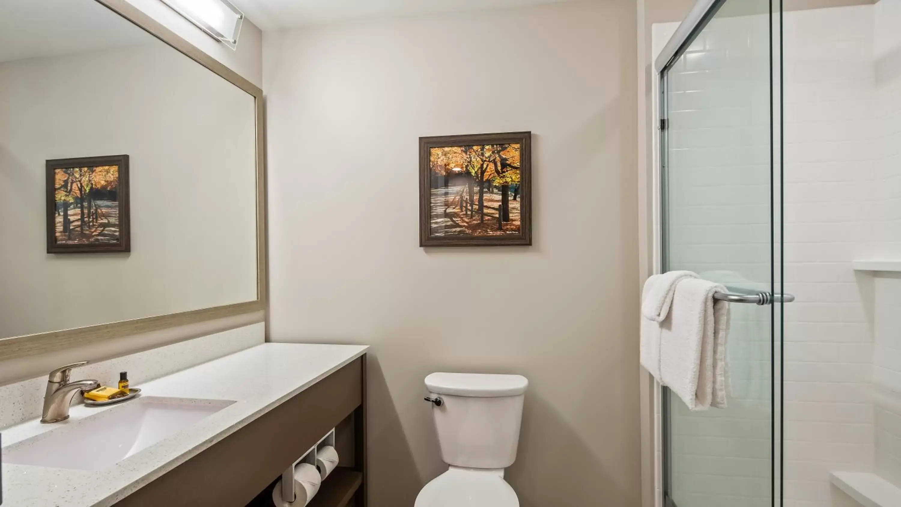 Bathroom in Best Western Plus Bolivar Hotel & Suites