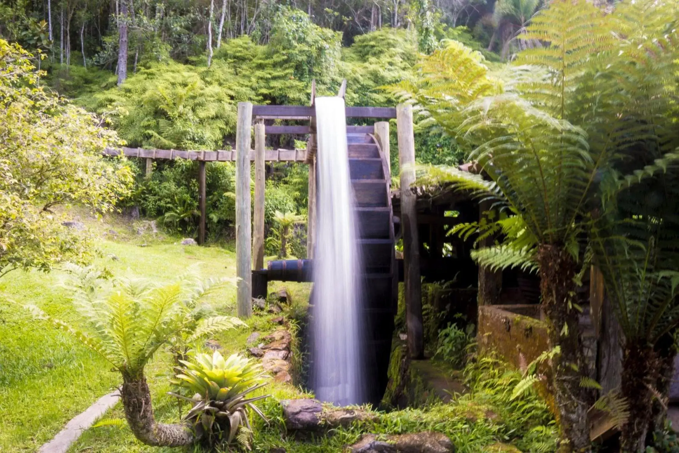 Nearby landmark, Garden in Plaza Caldas da Imperatriz Resort & Spa