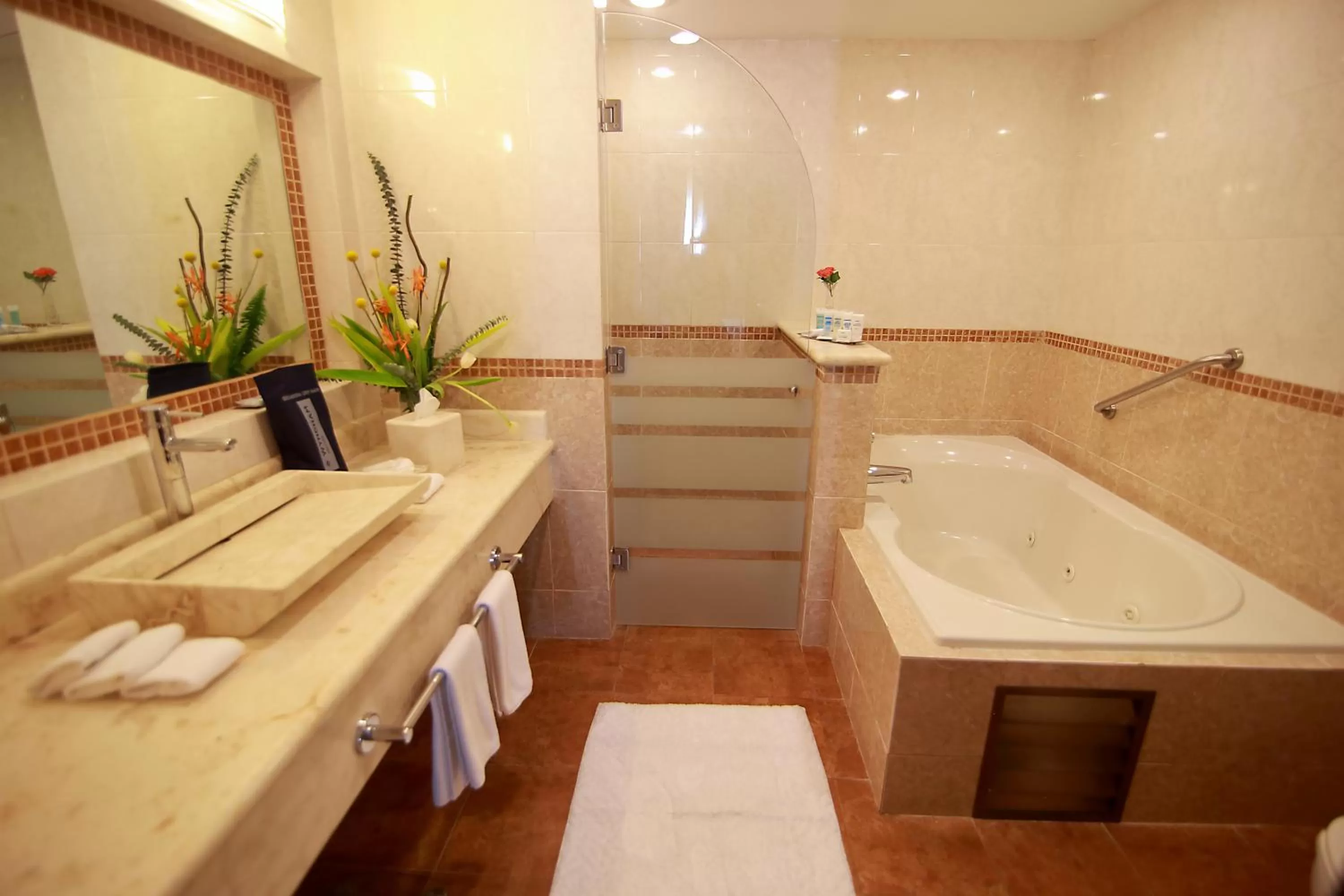 Photo of the whole room in Wyndham Merida