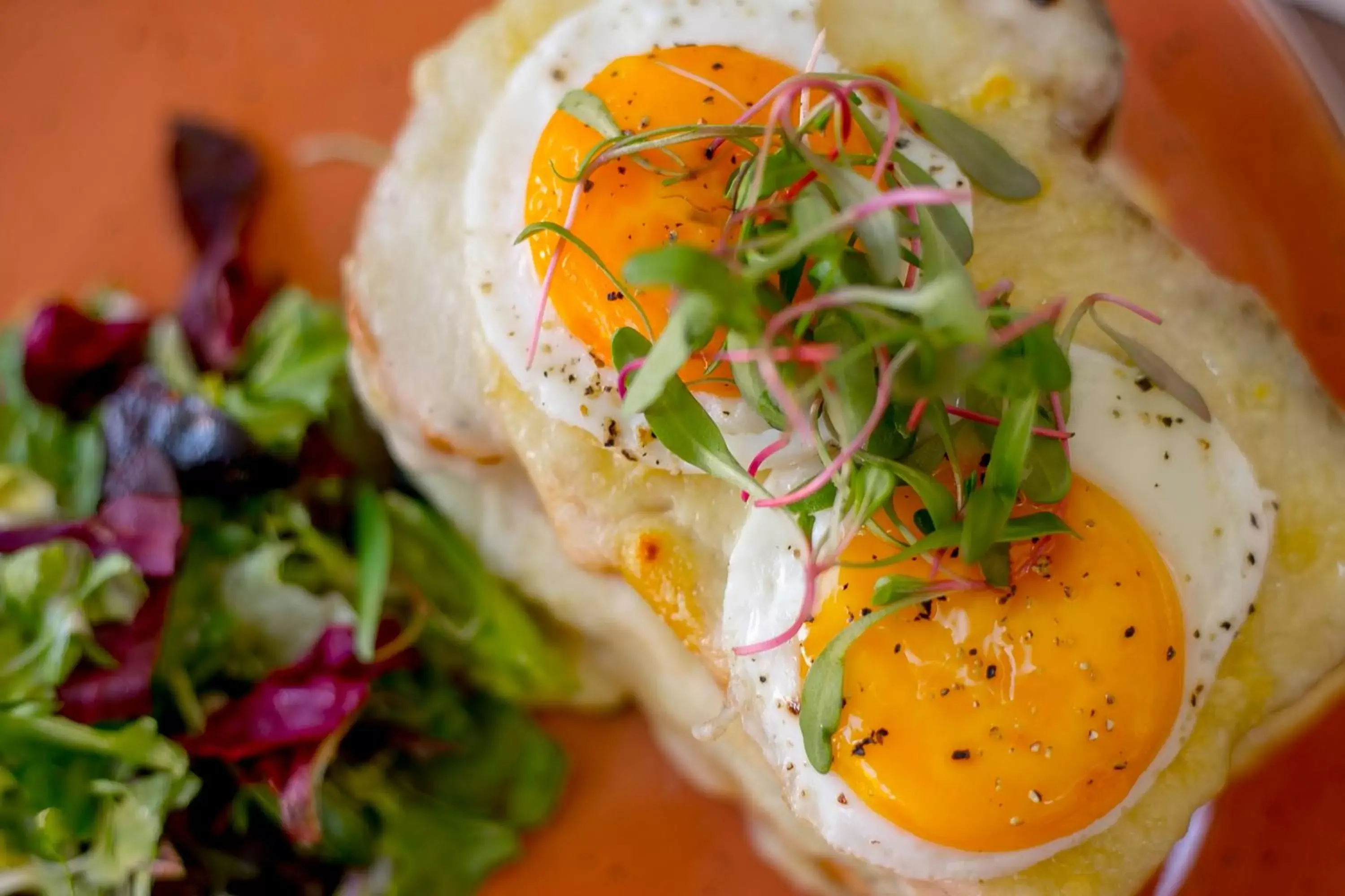 Breakfast, Food in Casona de los Sapos Hotel Boutique