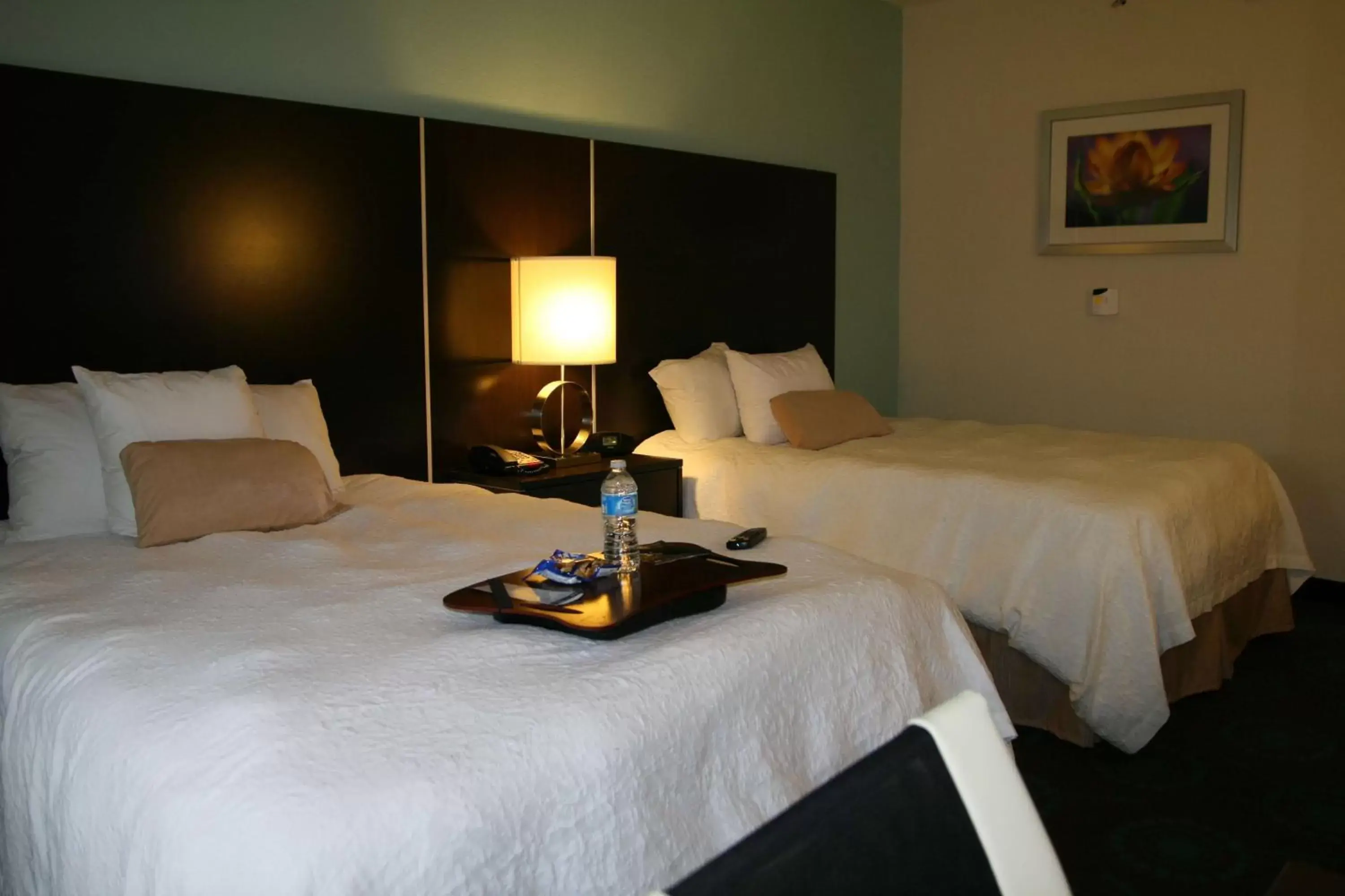 Bed in Hampton Inn By Hilton Shreveport Airport, La