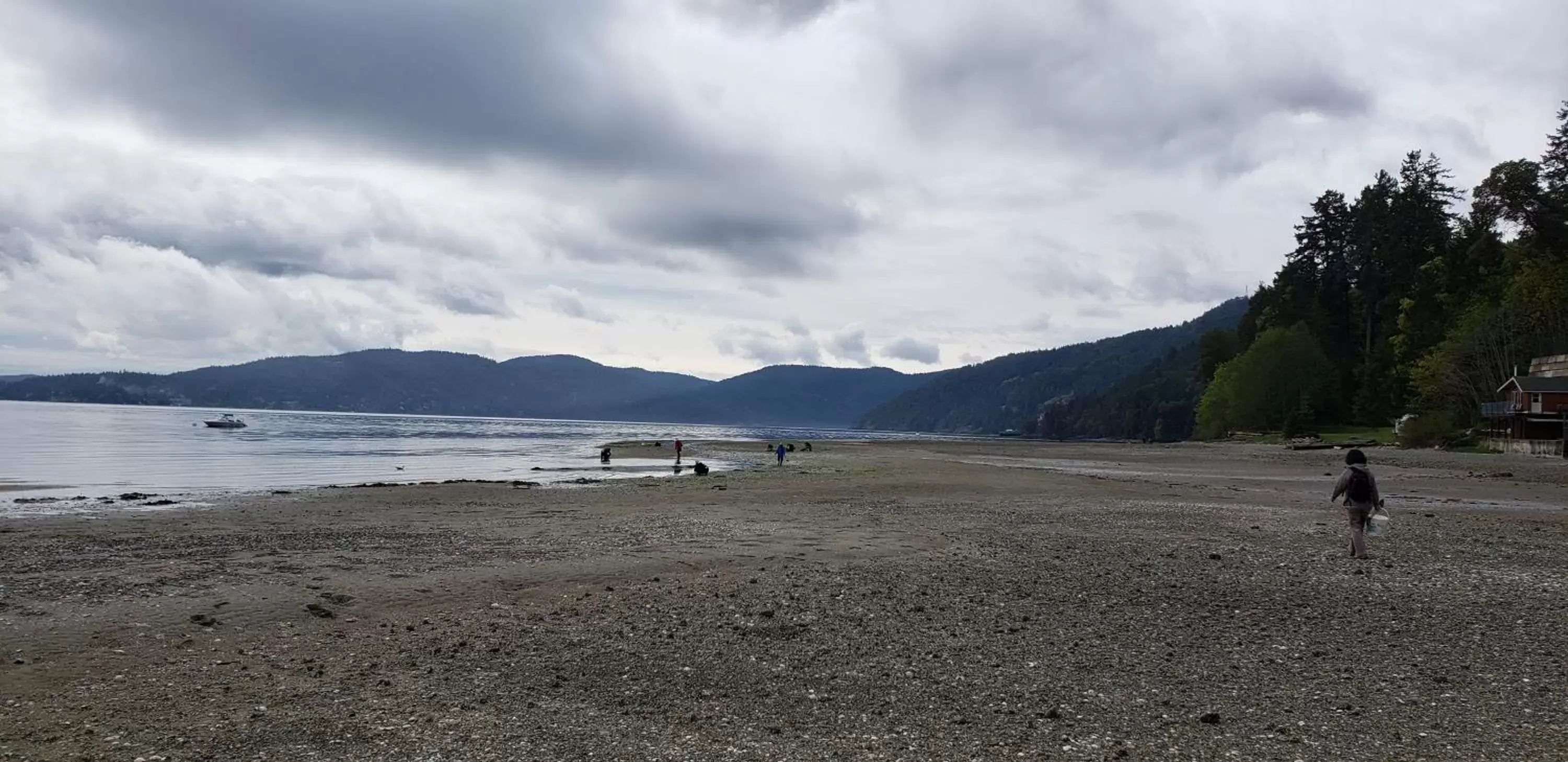 Natural landscape, Beach in Malahat Bungalows Motel
