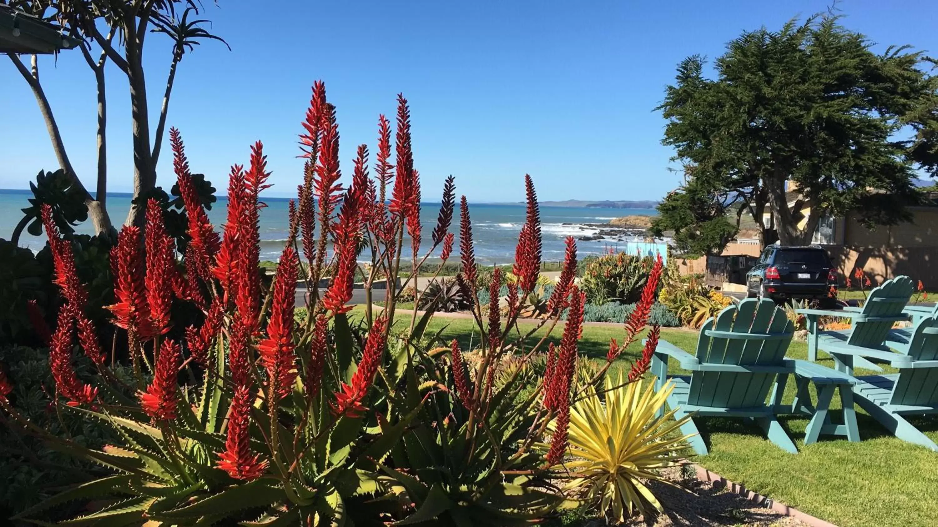 Garden view in Cambria Shores Inn