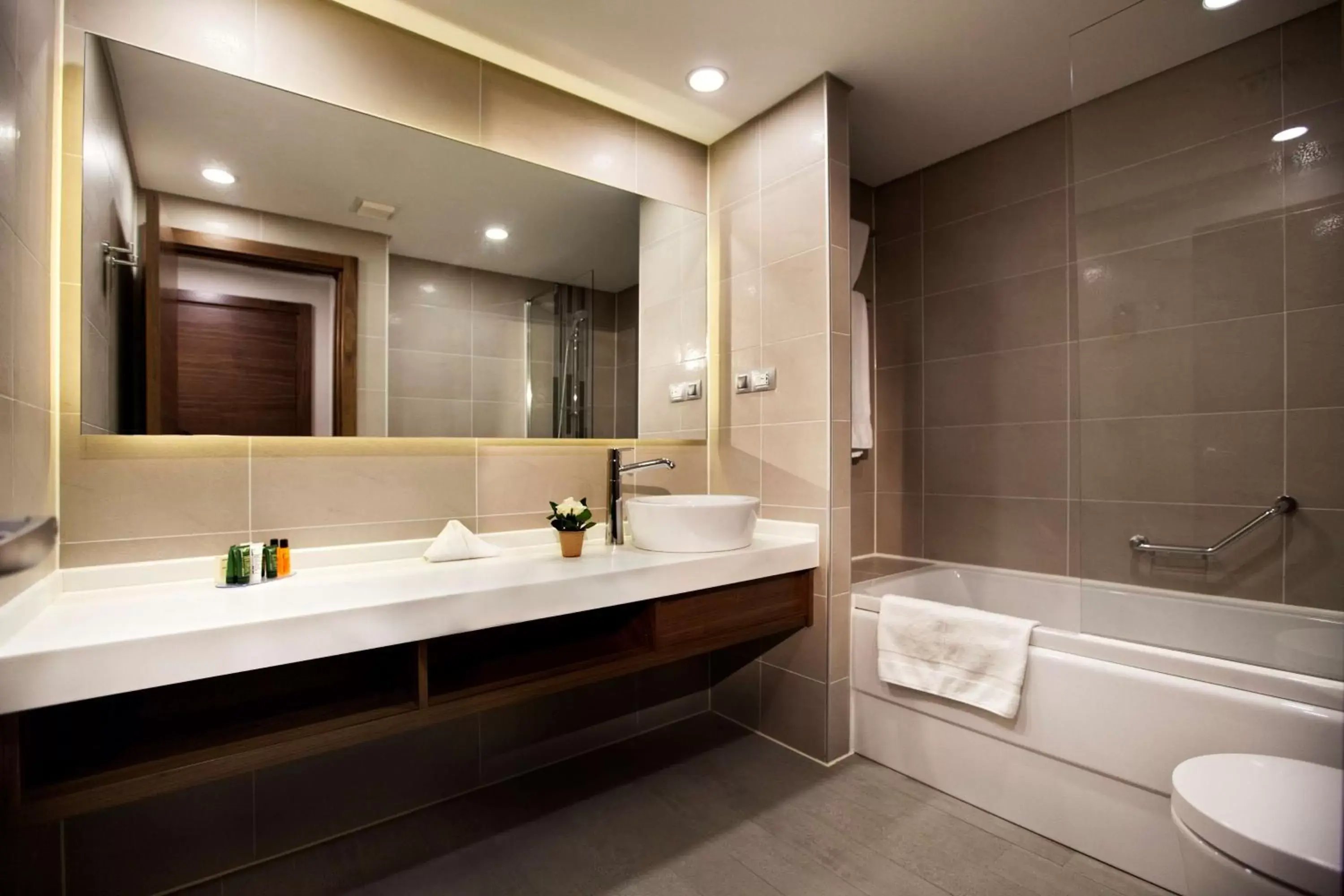 Bathroom in Hilton Garden Inn Erzincan