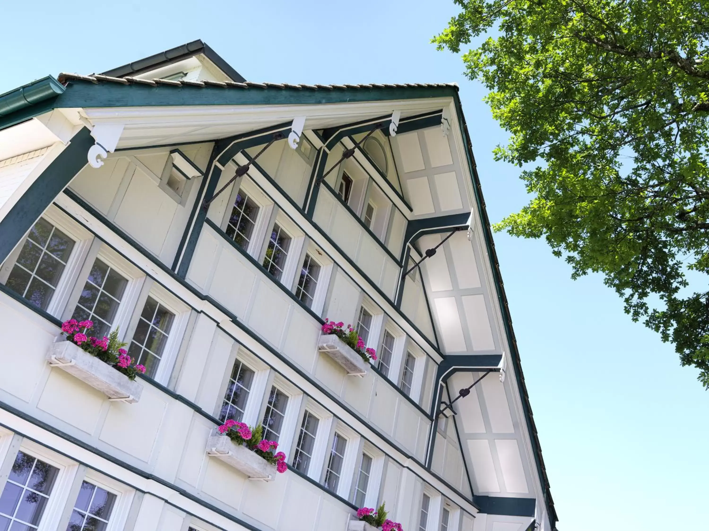 Property Building in Alpenheim