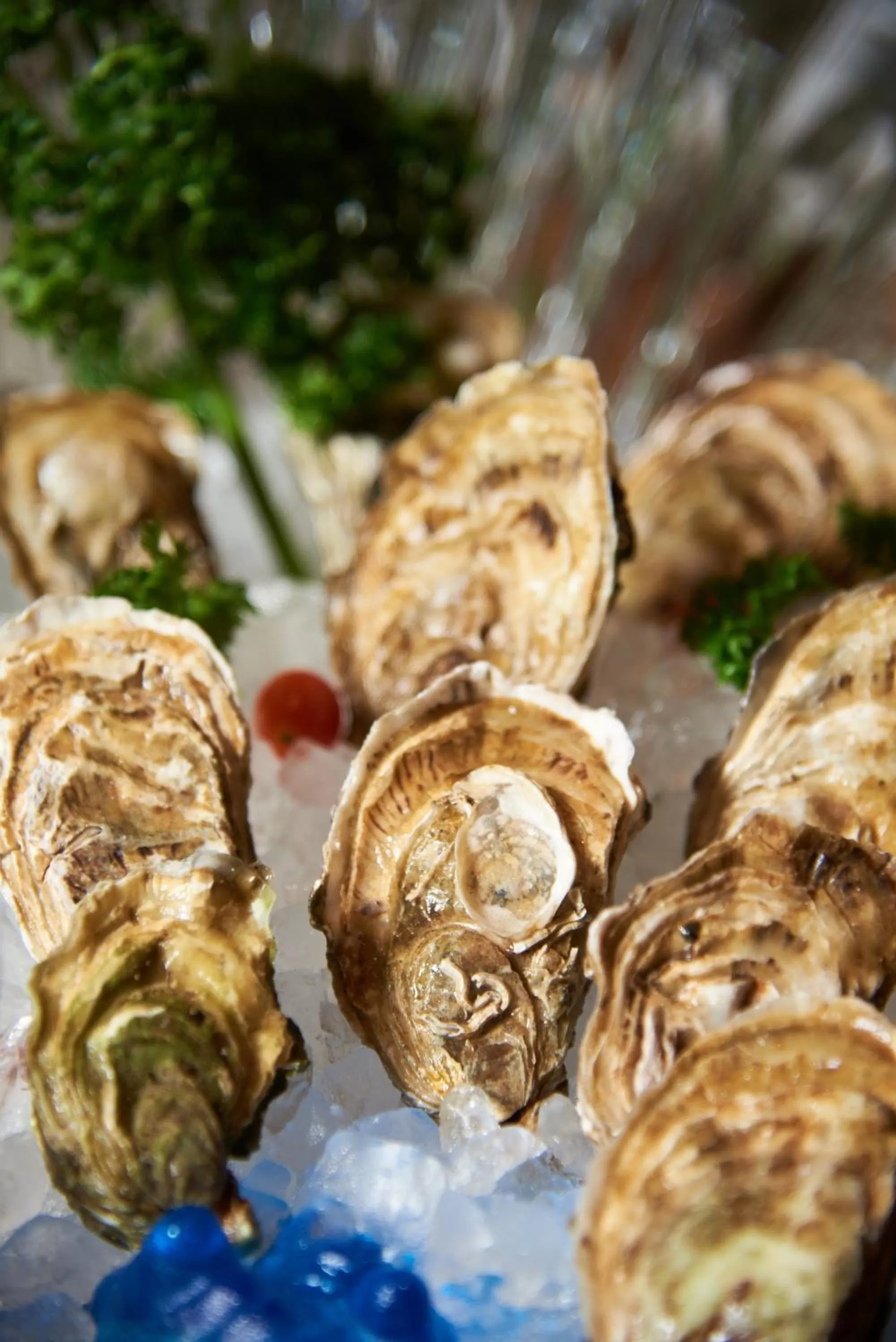 Food and drinks in The Westin Grande Sukhumvit, Bangkok