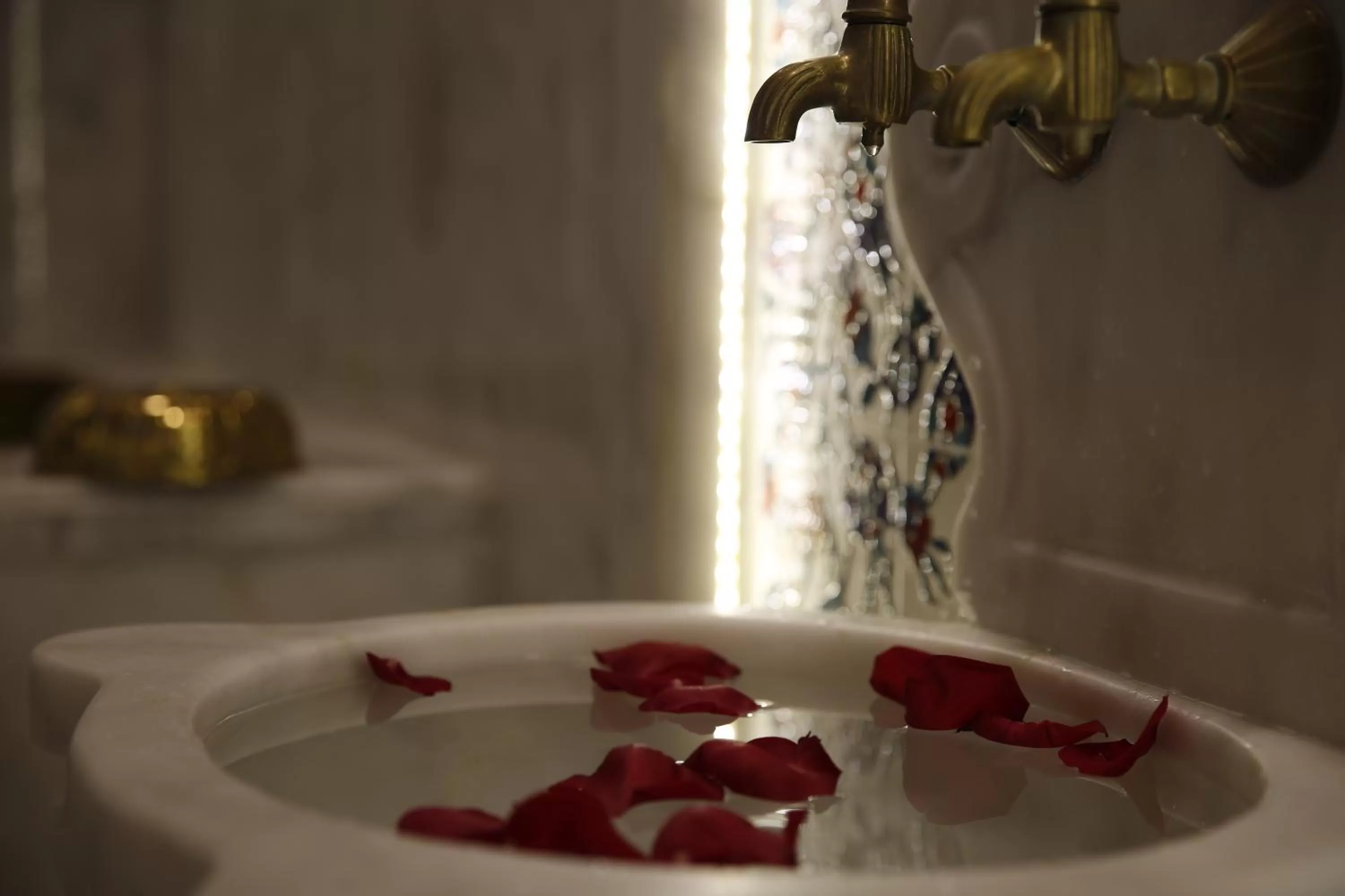 Area and facilities in Adams Hotel