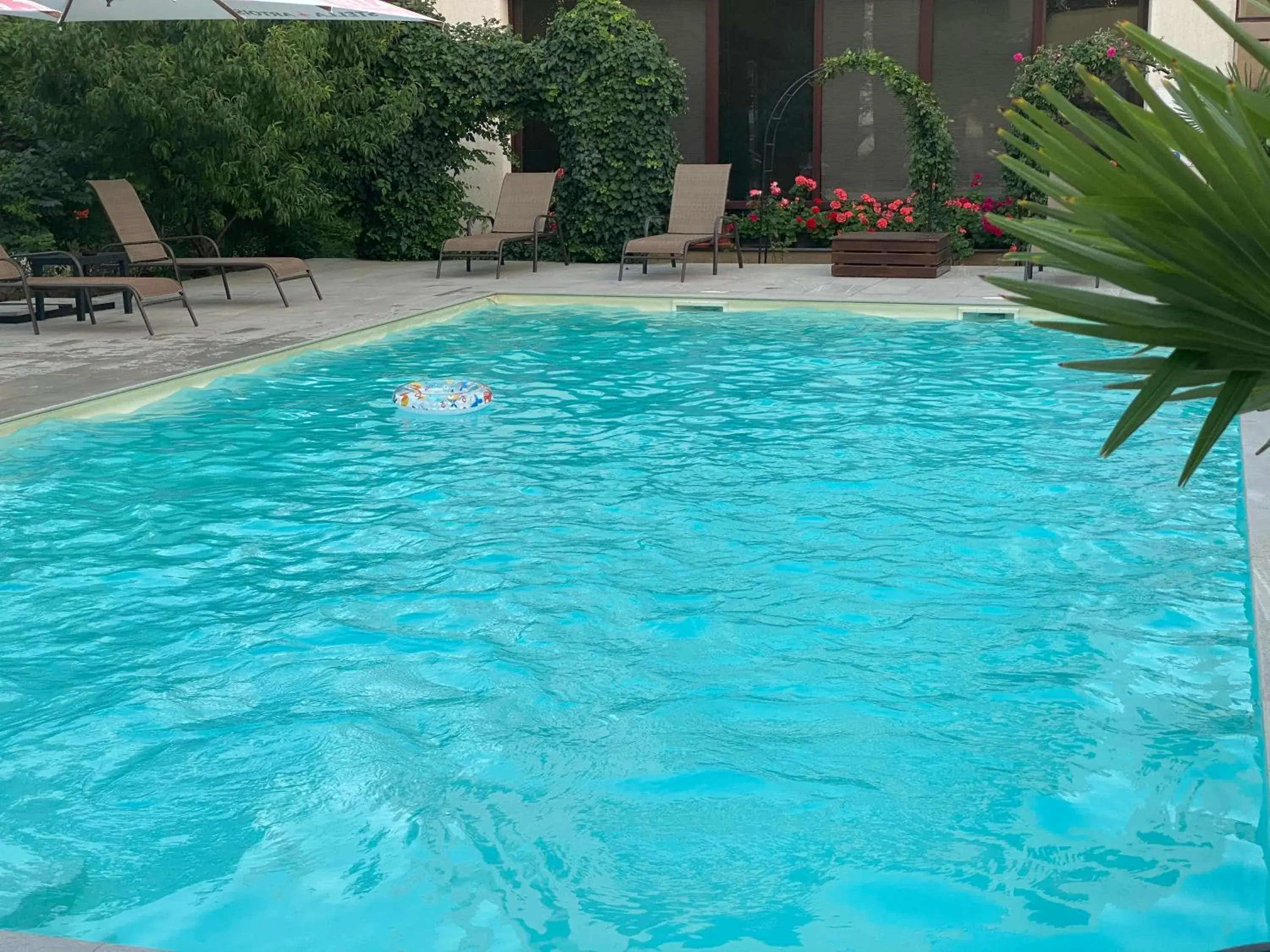 Swimming Pool in Hotel Perla