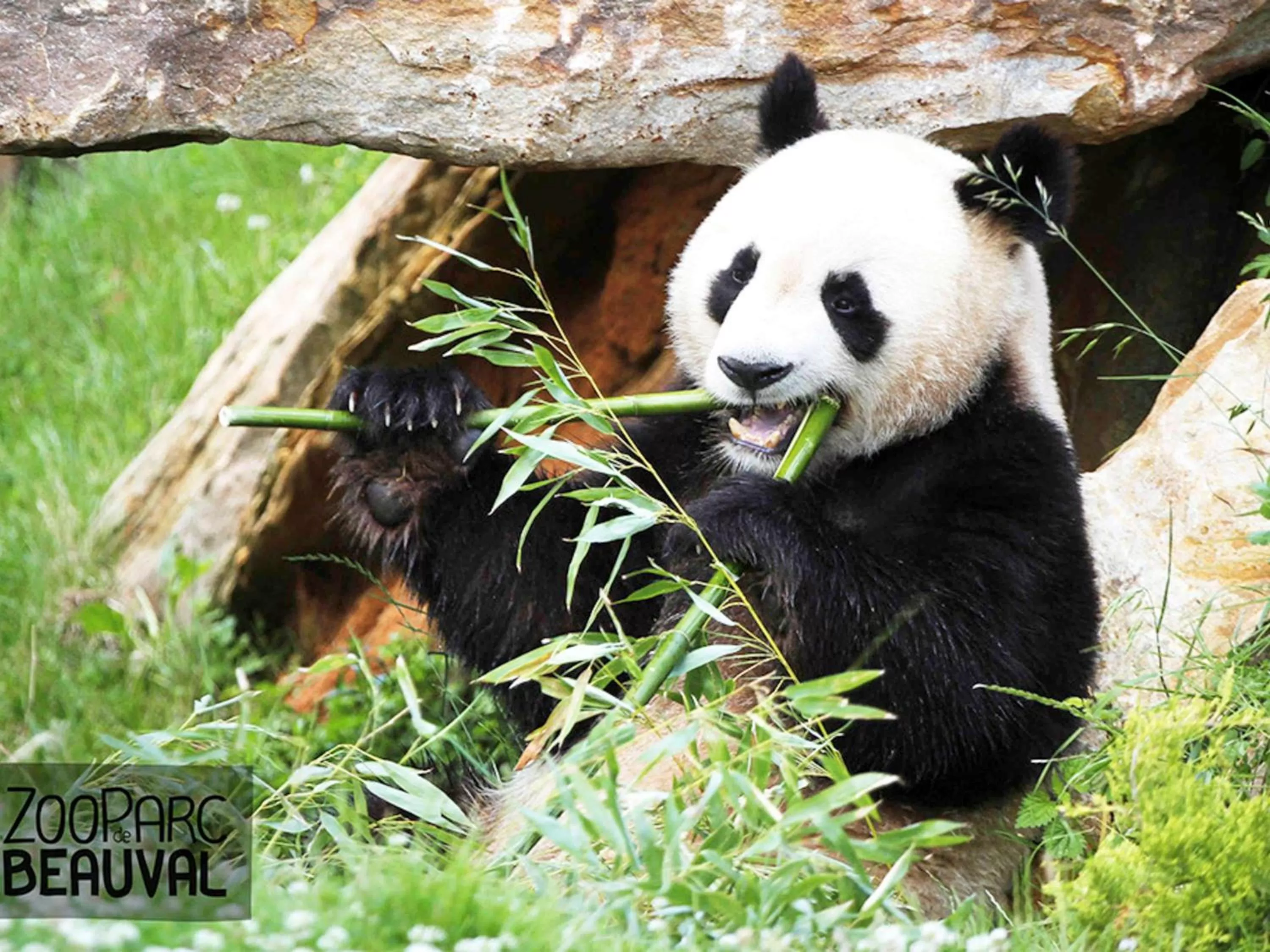 Other in Mercure Orléans Centre Bords de Loire