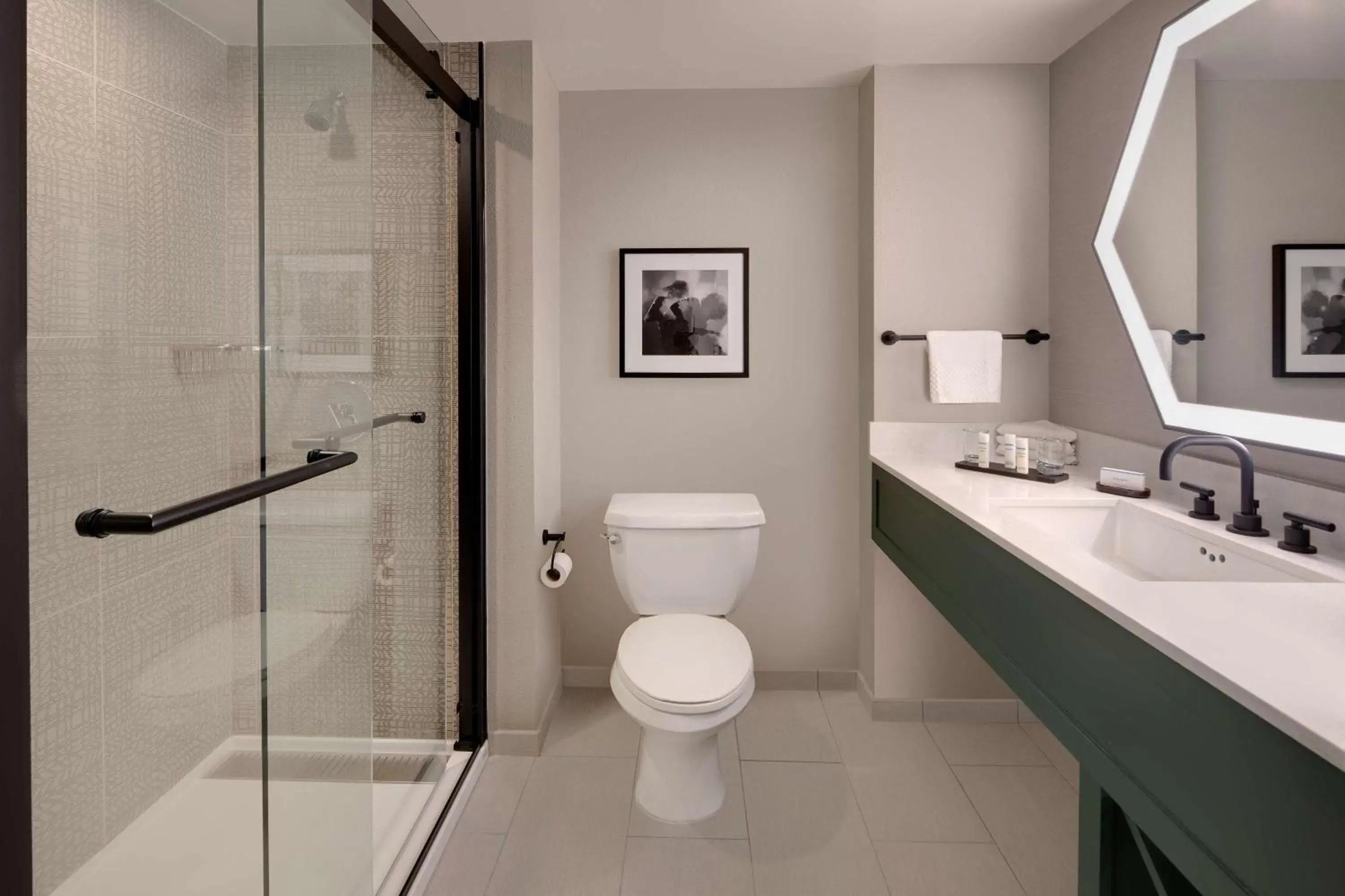 Bathroom in Embassy Suites by Hilton San Rafael Marin County