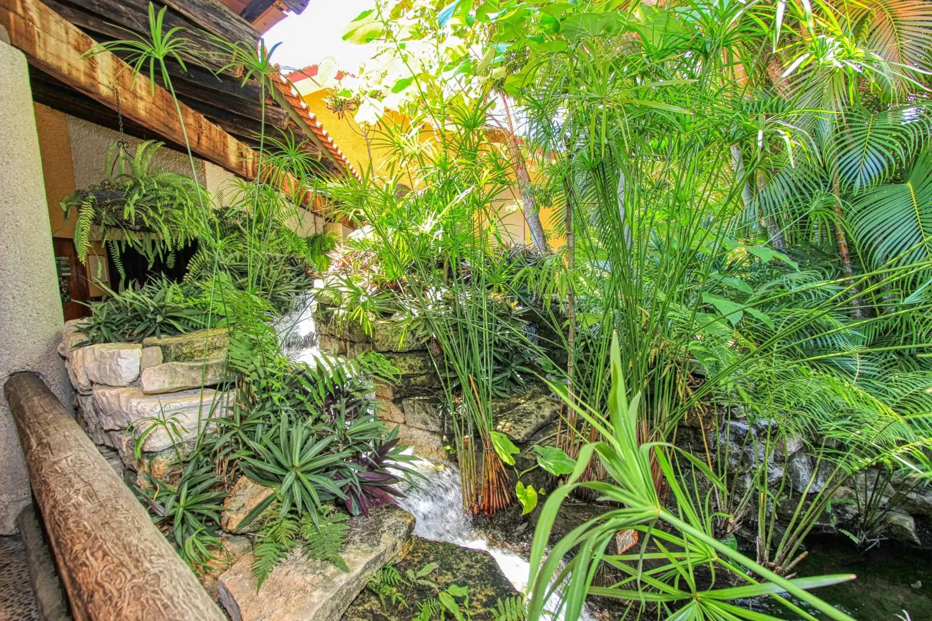 Garden in Hotel Ciudad Real Palenque