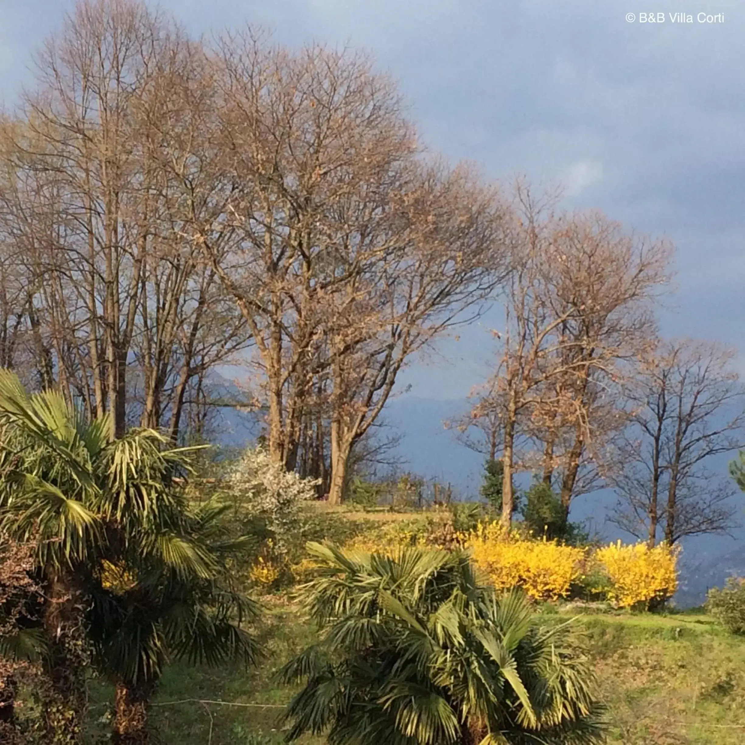 Spring in Villa Corti
