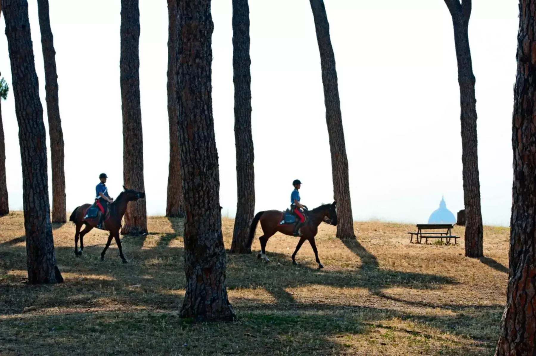 Activities, Horseback Riding in Pinewood Hotel Rome