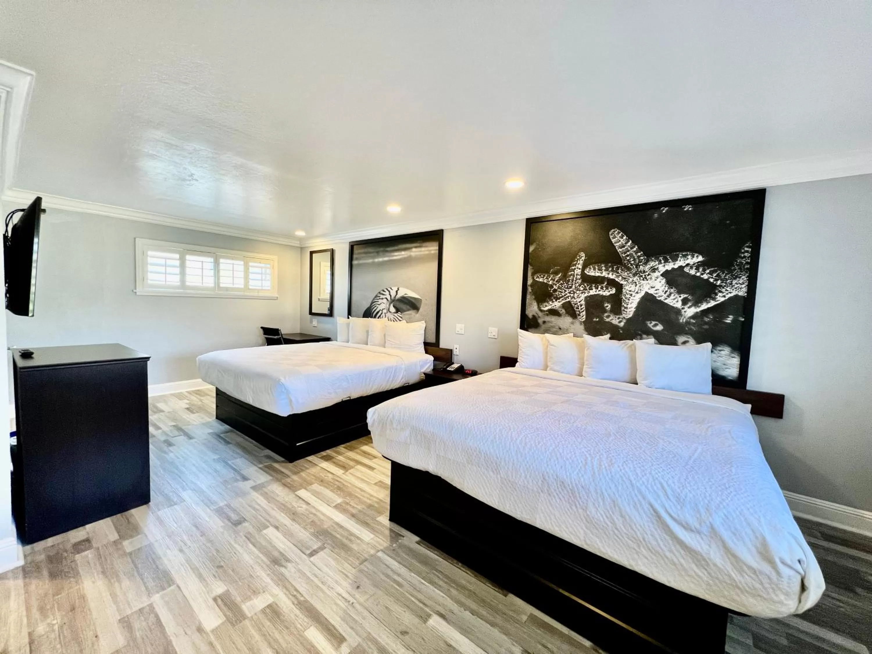 Photo of the whole room, Bed in Aura Inn Monterey