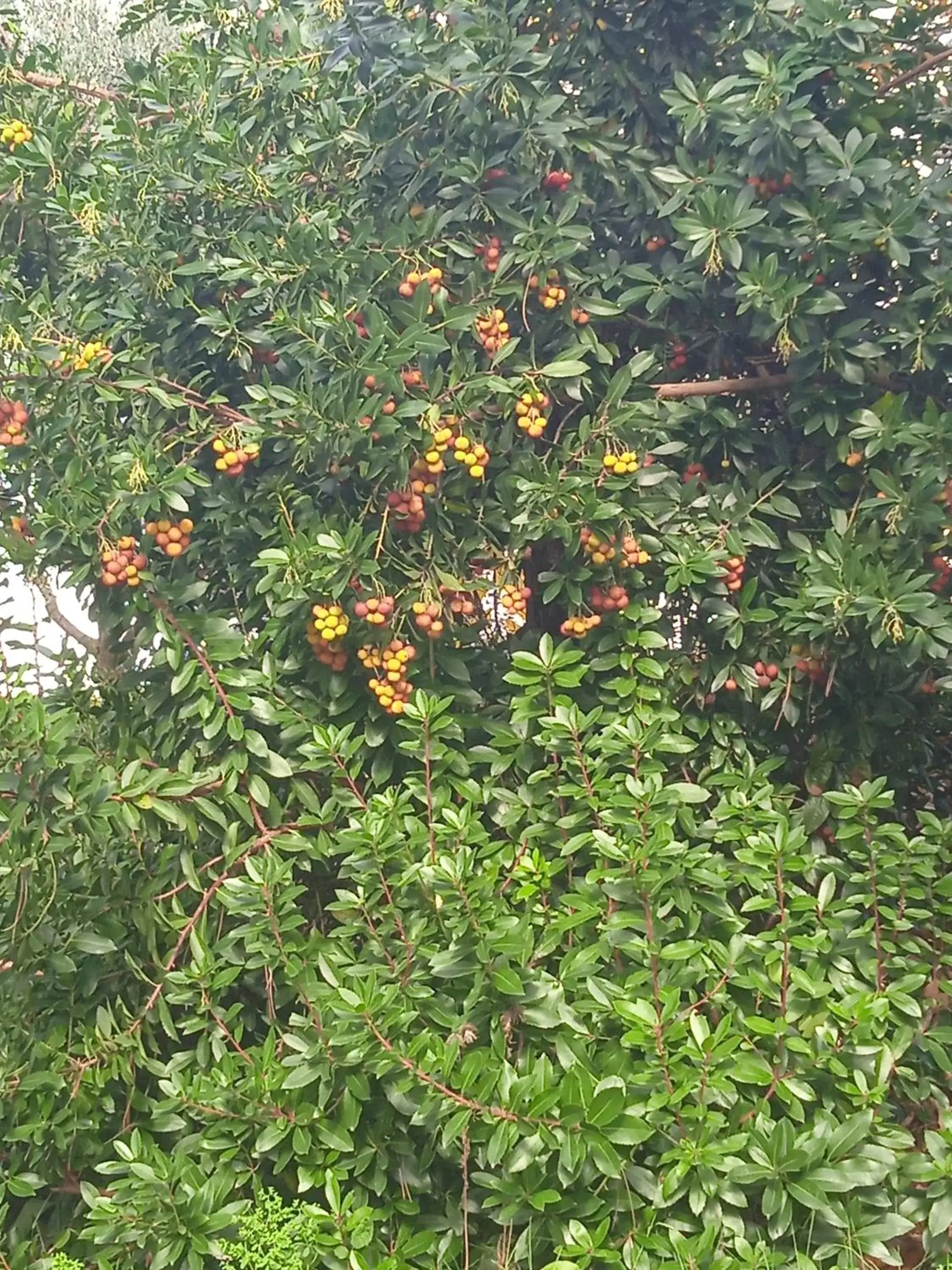 Double Room in Villa Rosanna Double Room in Villa Rosanna