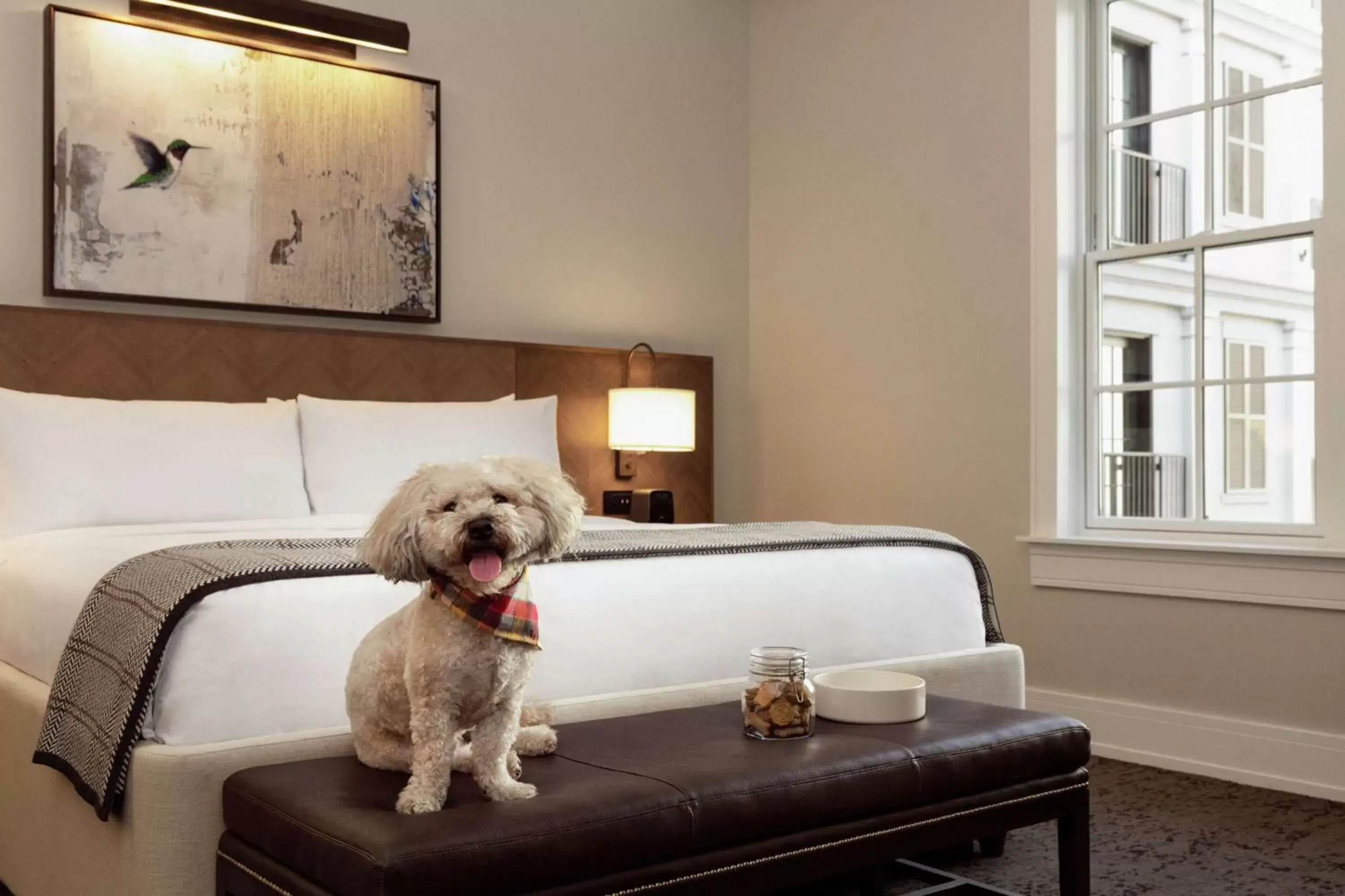 Bed, Pets in The Harpeth Downtown Franklin, Curio Collection by Hilton