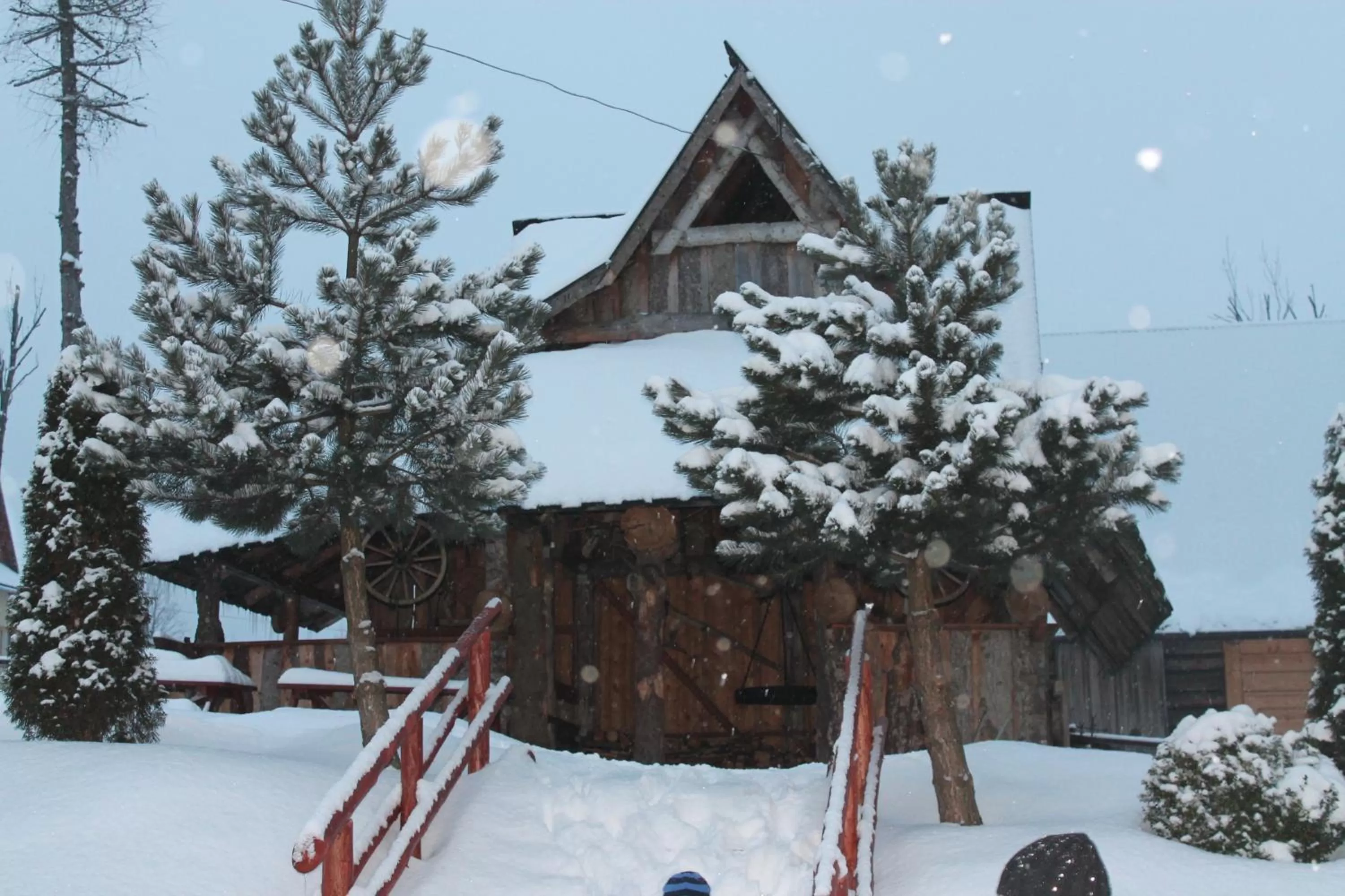 Facade/entrance in Willa Grzesiczek