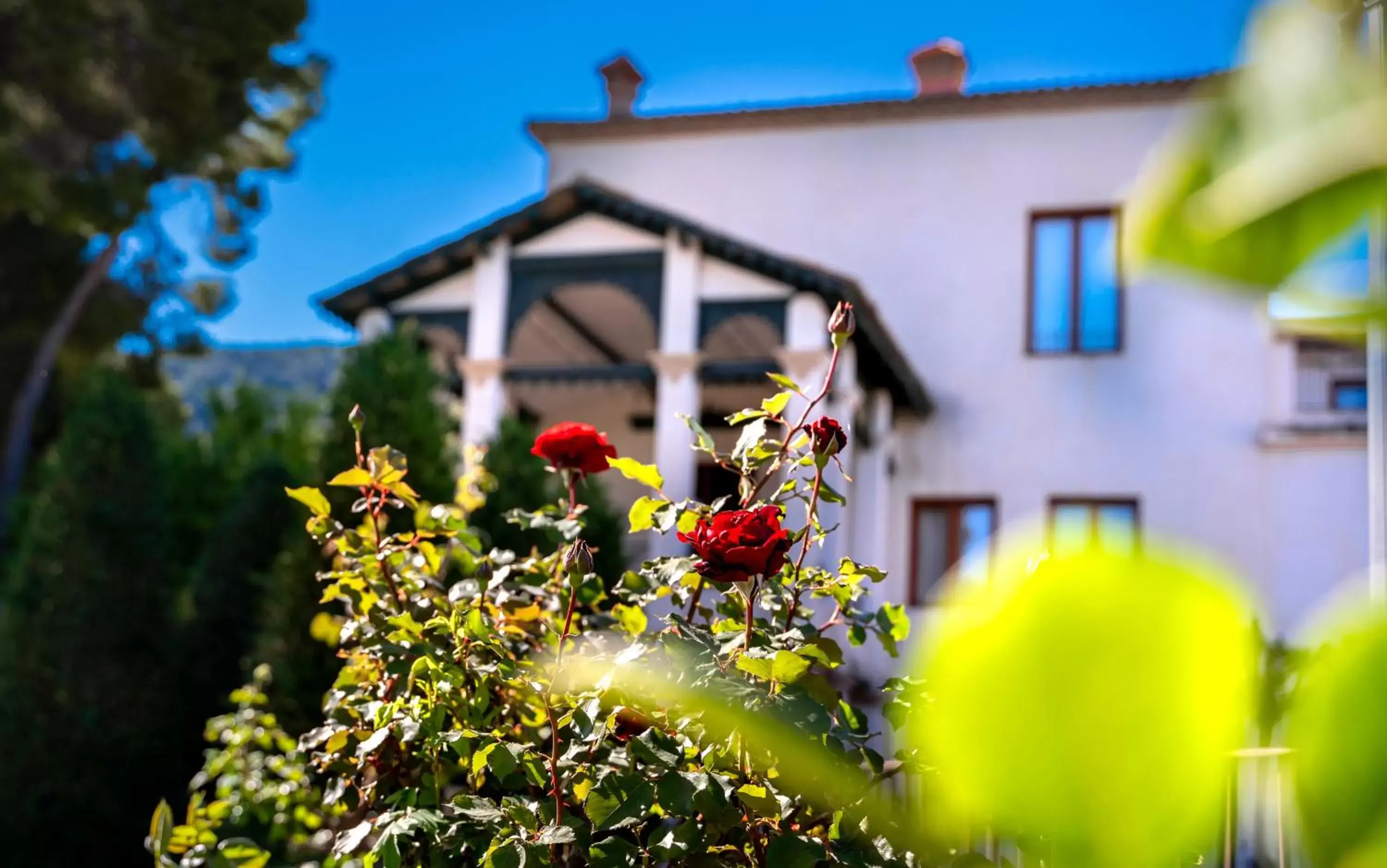 Property Building in Eco Hotel con encanto Masía la Mota B&B