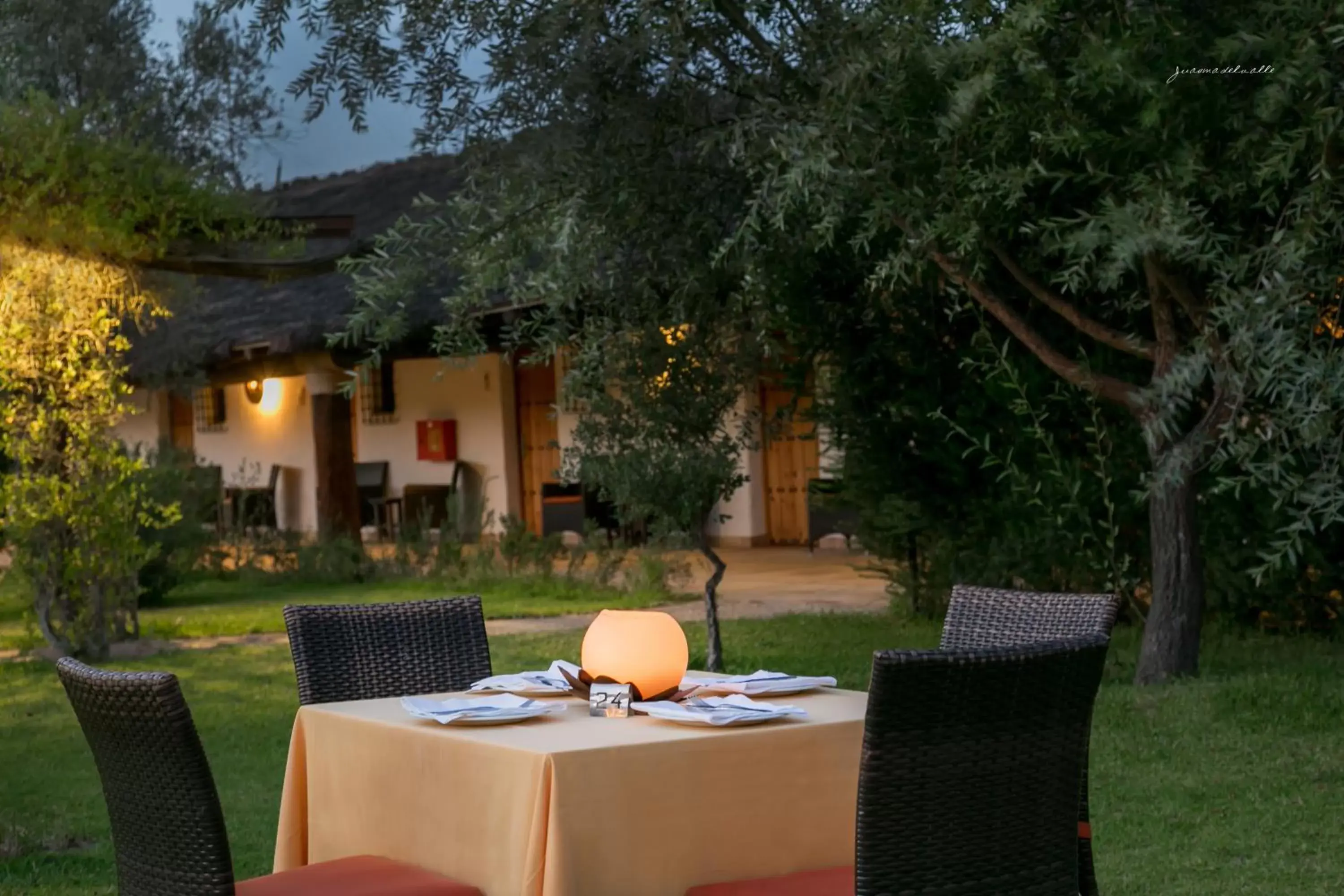 Restaurant/places to eat in Ardea Purpurea Restaurant/places to eat in Ardea Purpurea