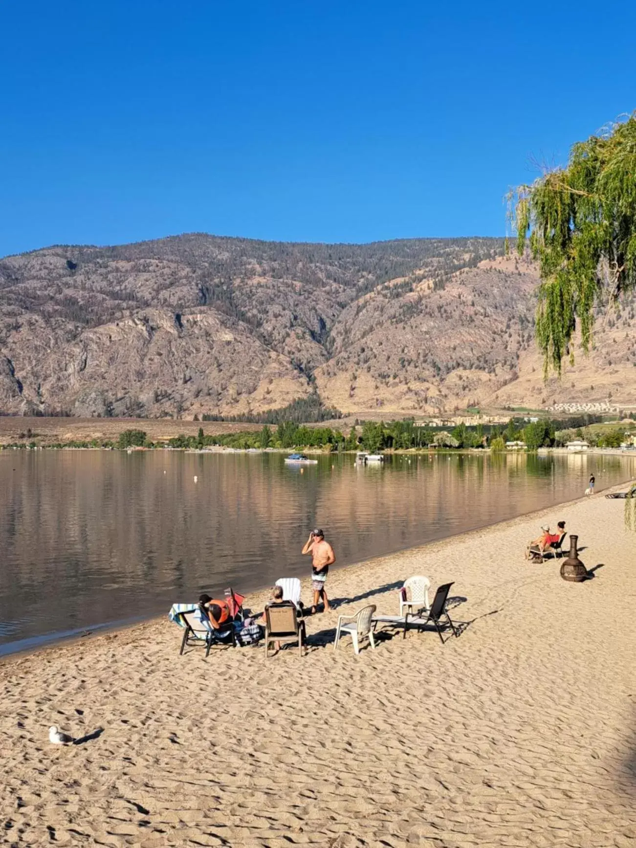 Beach in Richter Pass Beach Resort