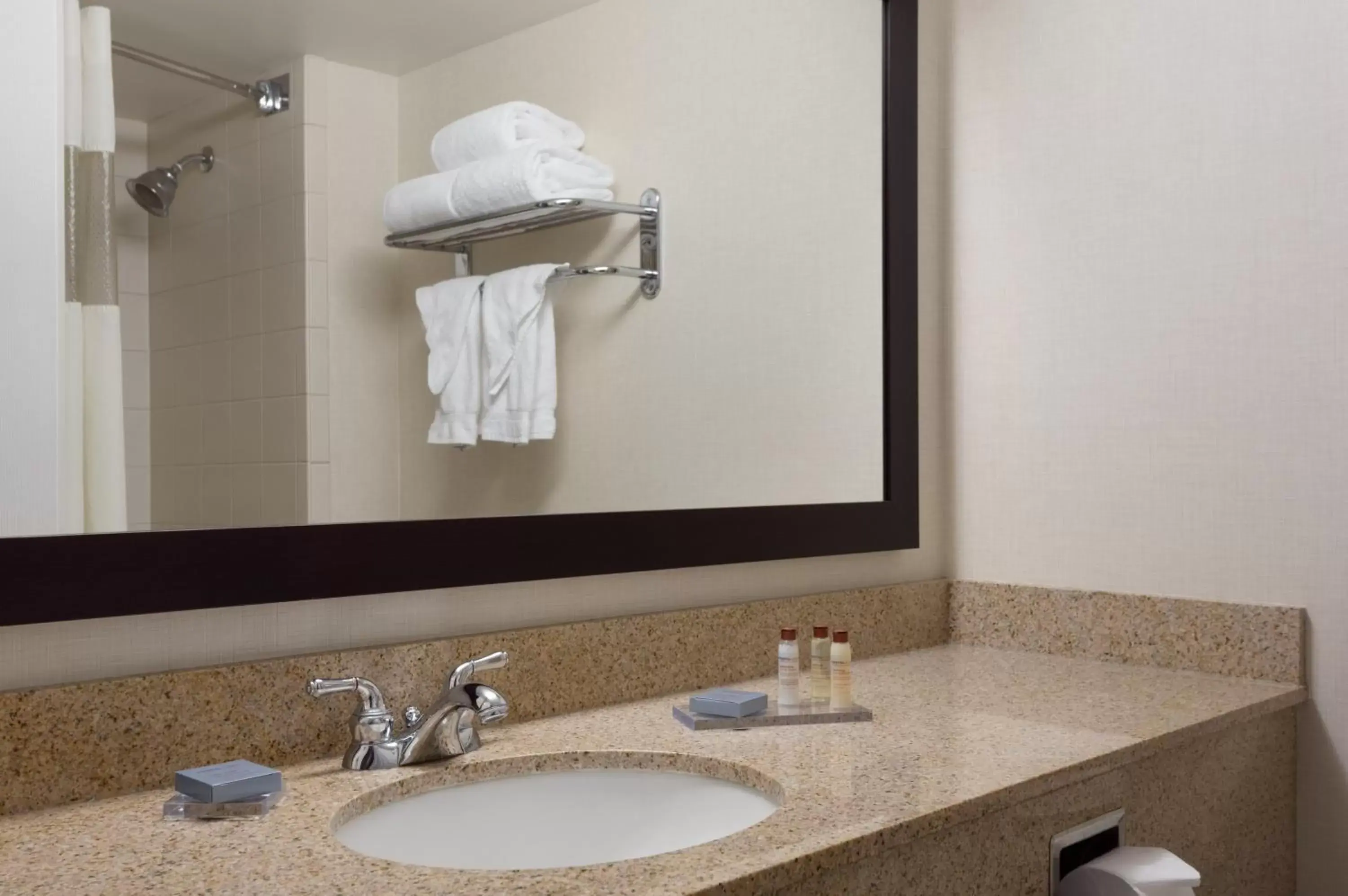 Bathroom in Wingate by Wyndham Sylvania-Toledo