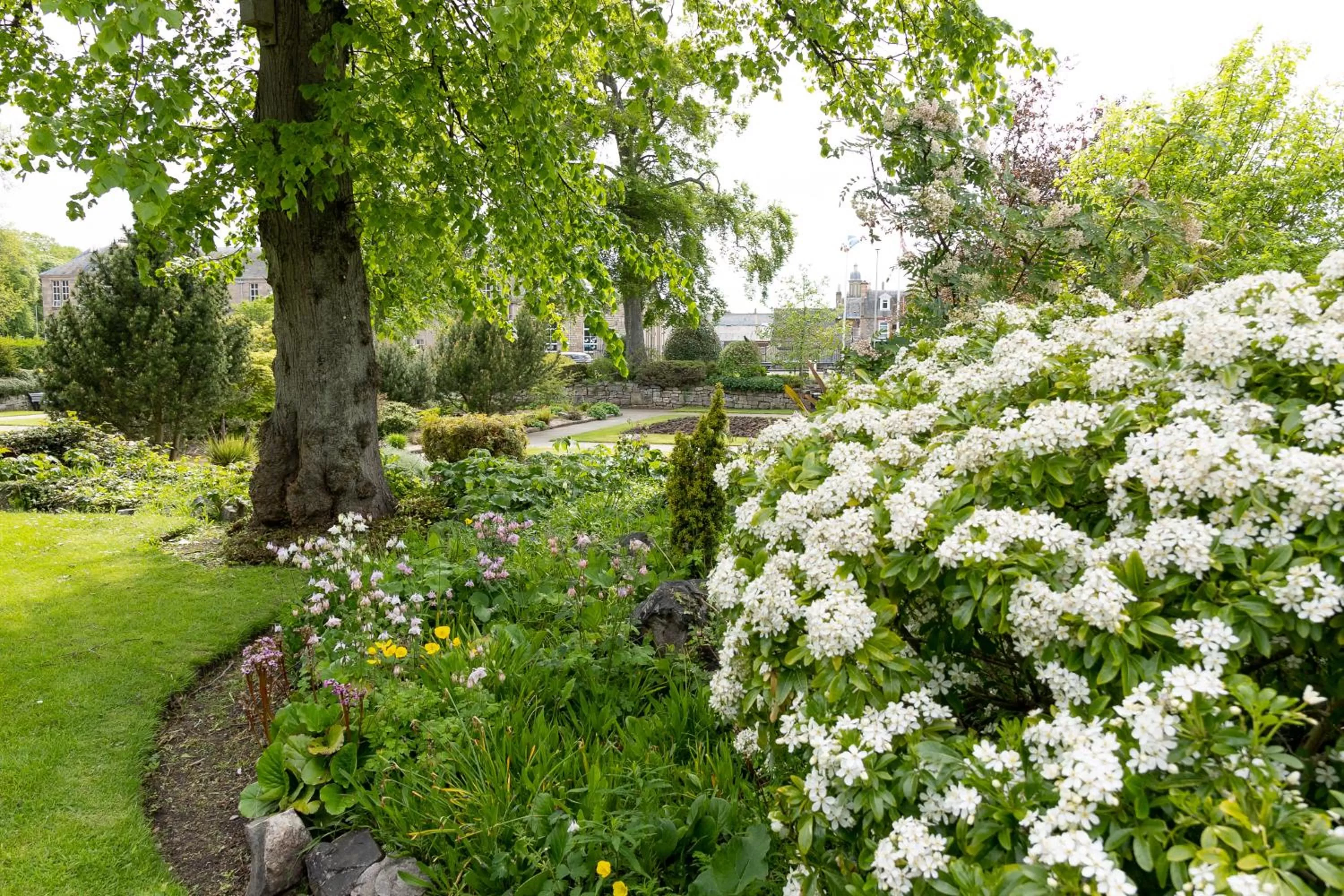Nearby landmark in Carlton Hotel