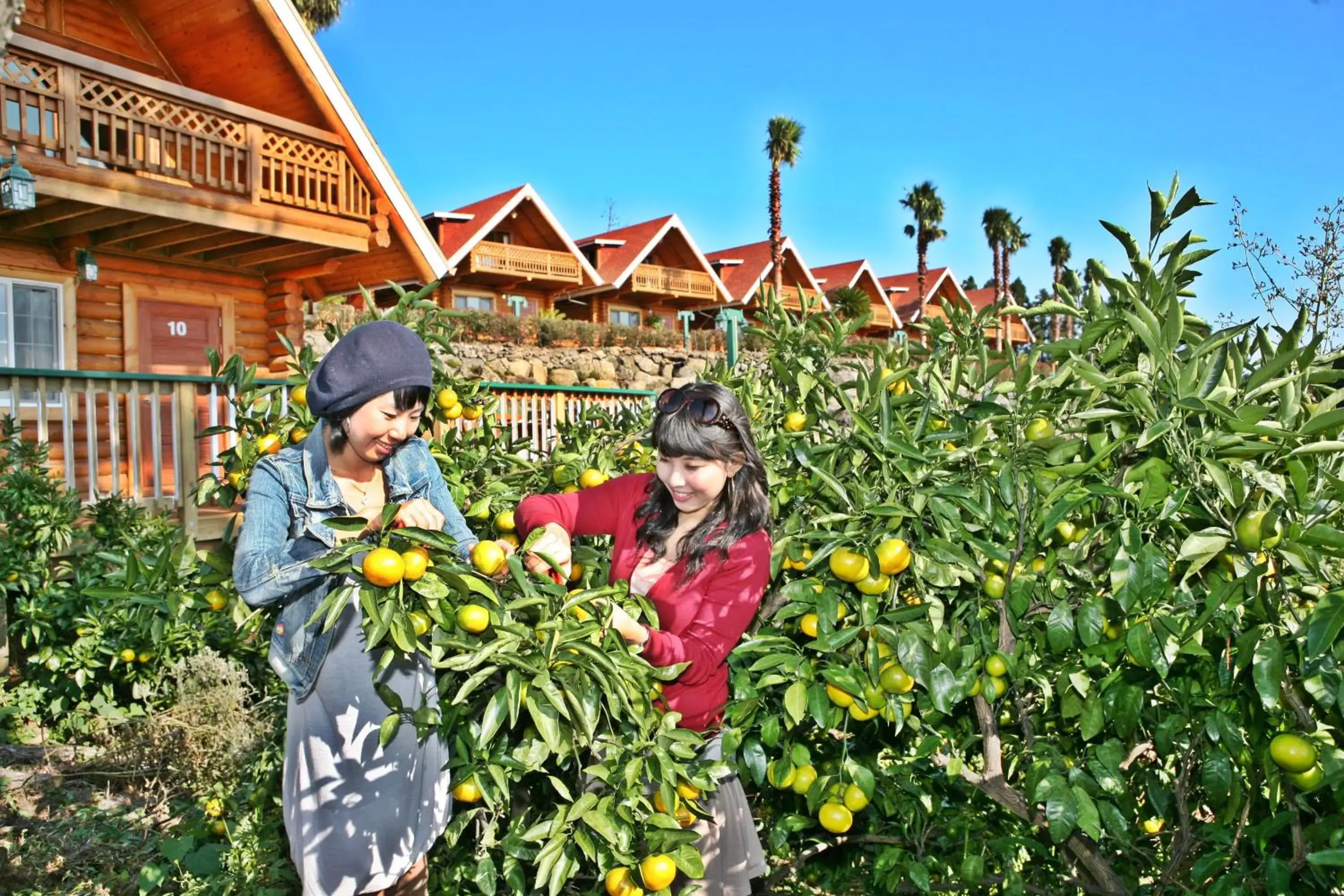 Activities in Jungmun Log Pension & Resort