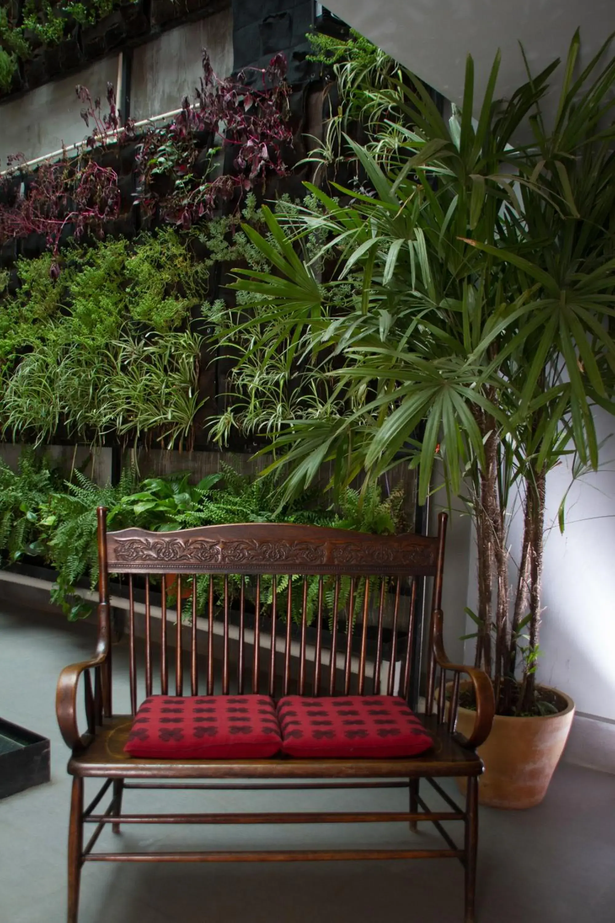 Patio, Balcony/Terrace in Hotel Helverica