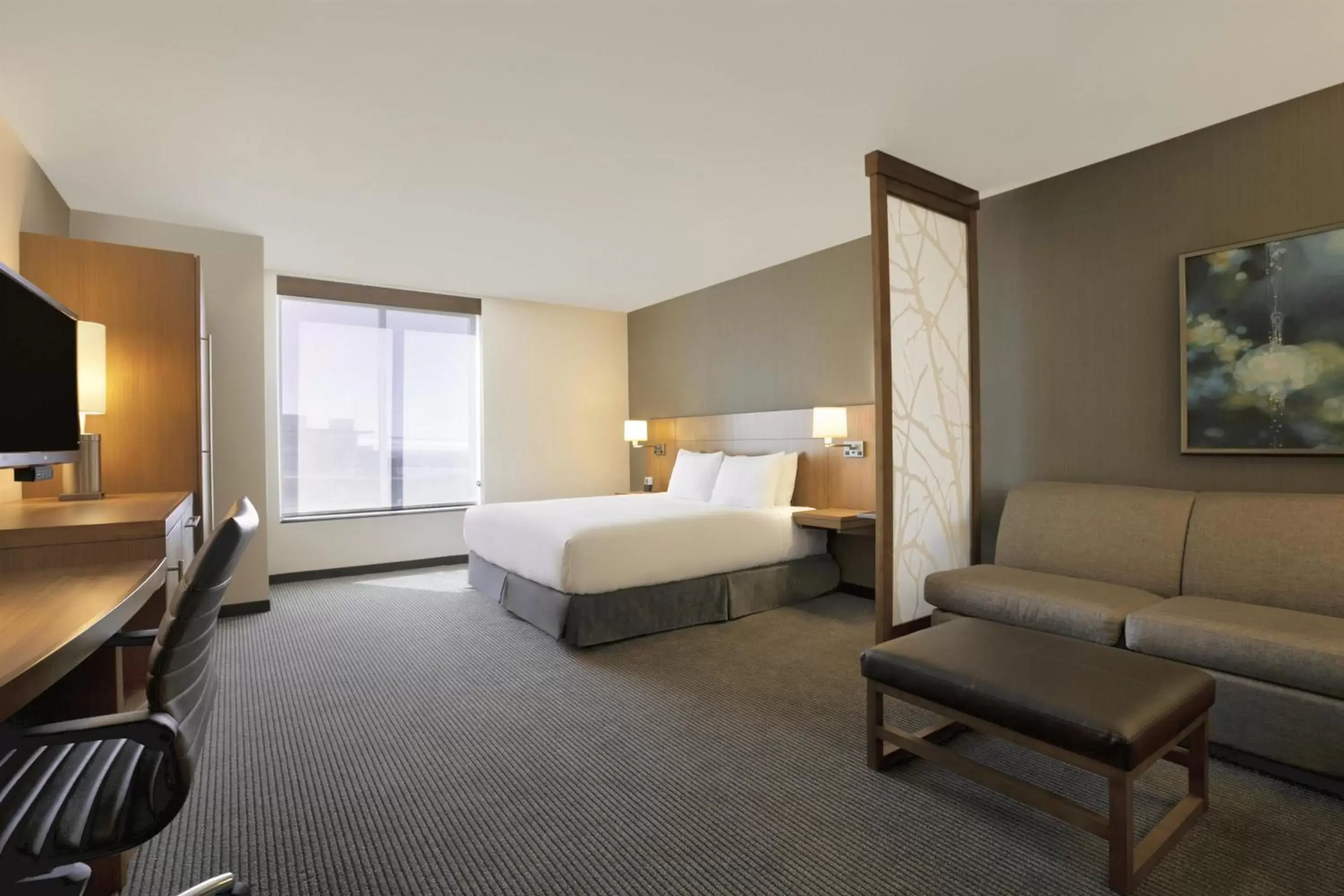 King Room with Sofa Bed and Roll-In Shower - Disability Access in Hyatt Place Salt Lake City/Cottonwood